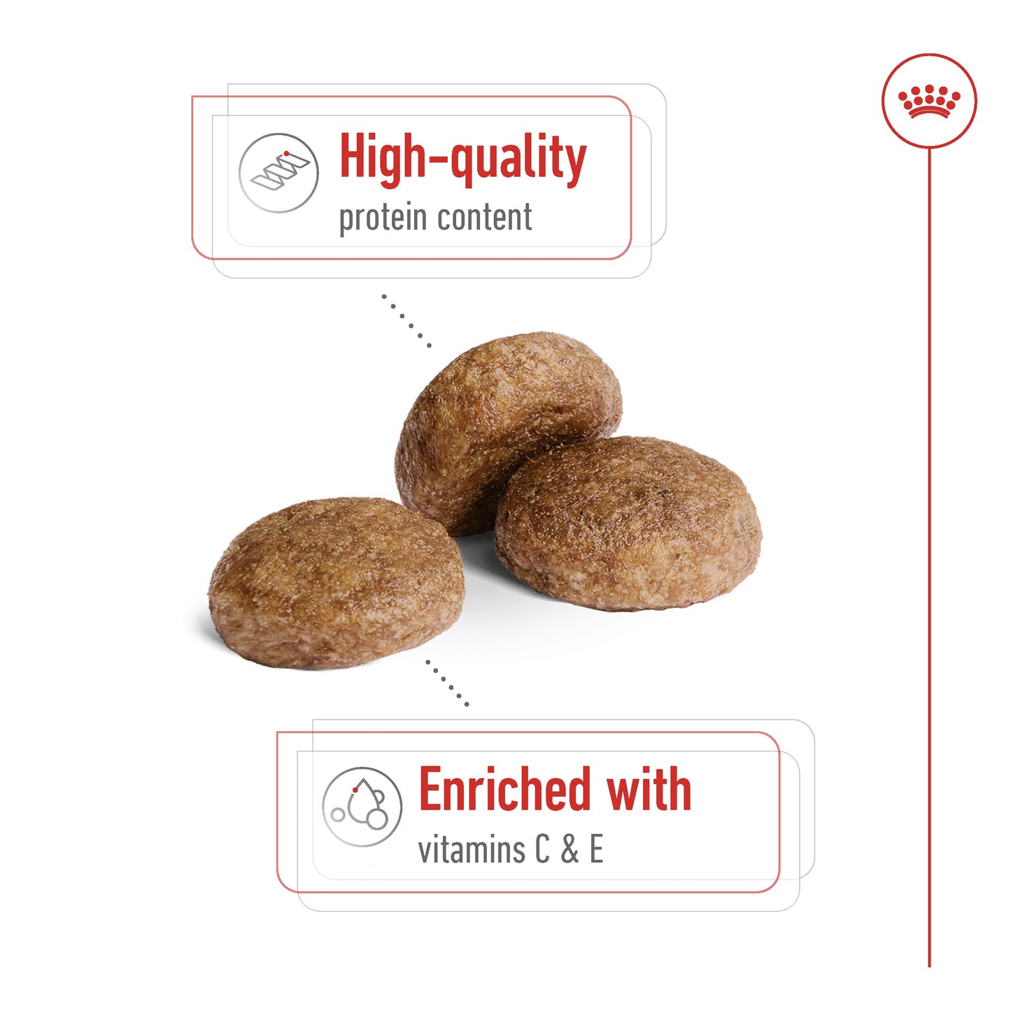 Royal Canin Dog Medium 7+ Dry Dog Food