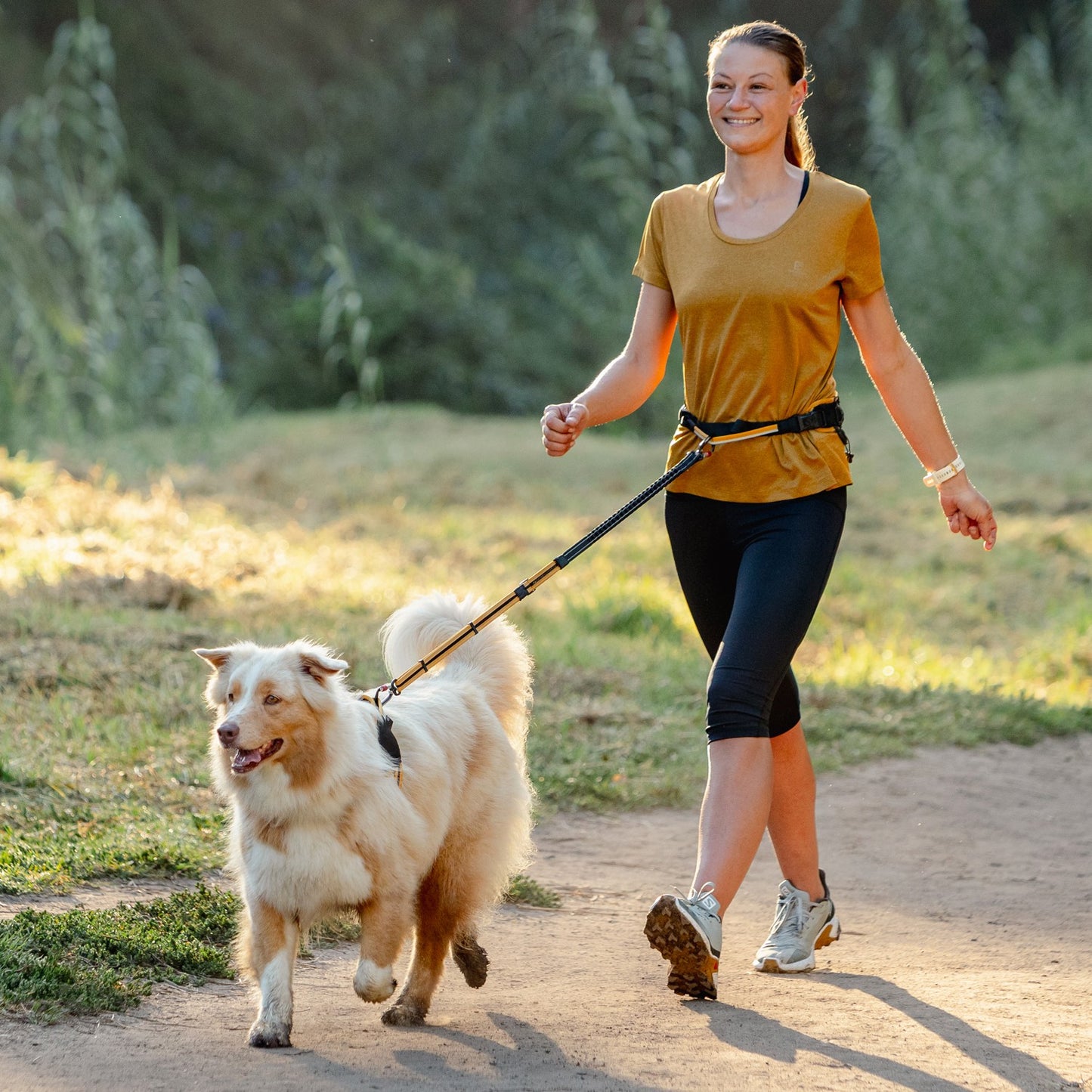 Rogz AirTech Sport Belt & Lead