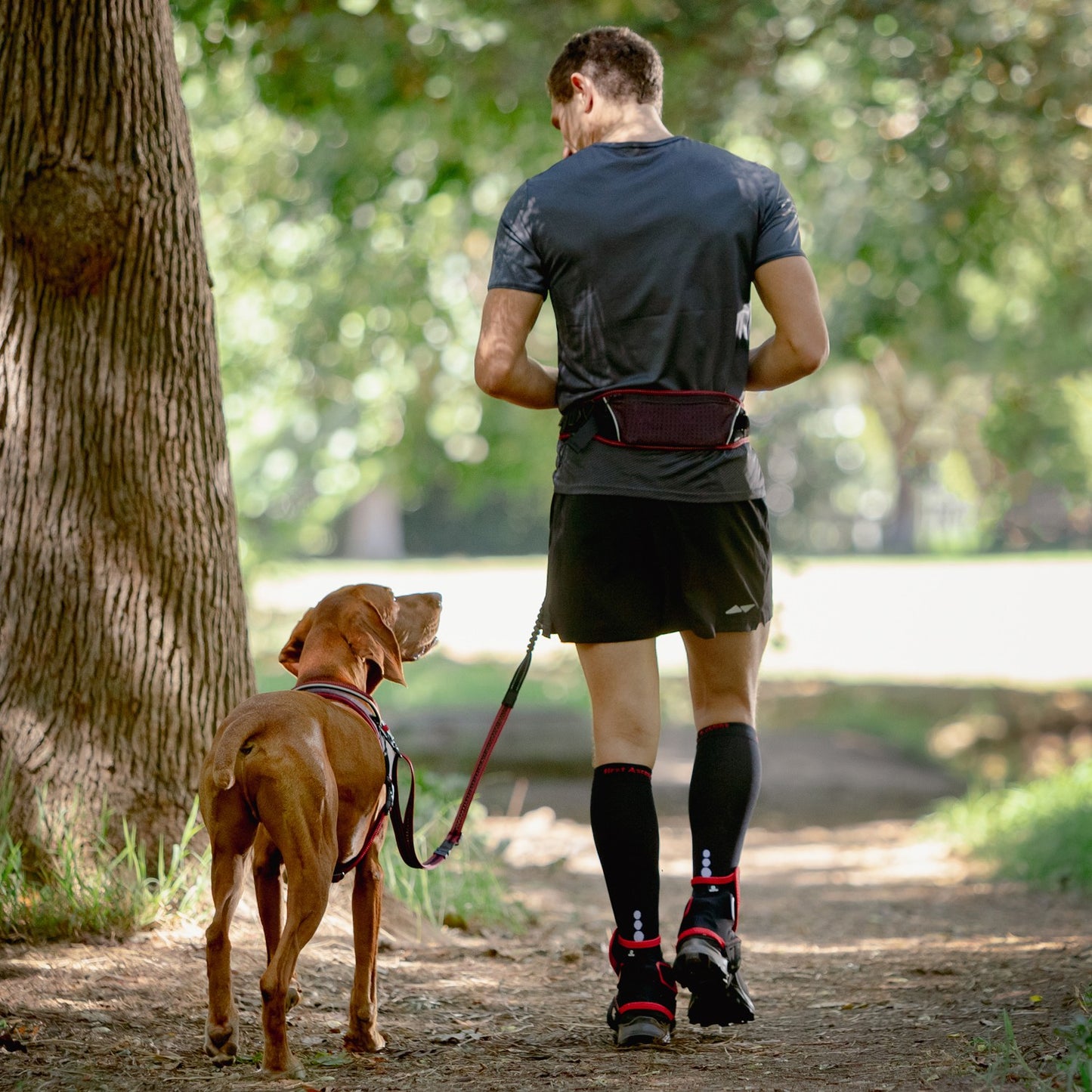 Rogz AirTech Sport Belt & Lead