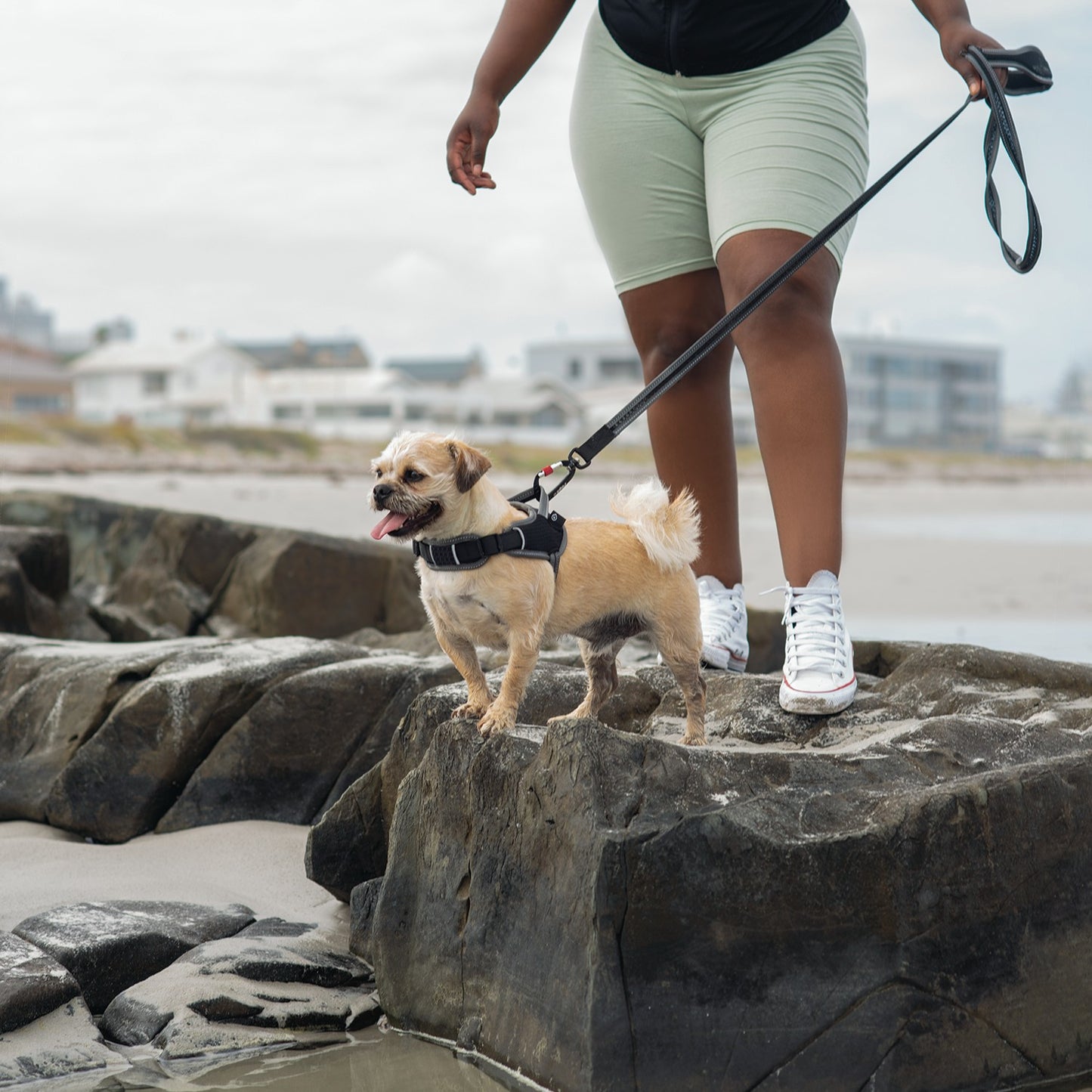Rogz AirTech Sport Dog Harness