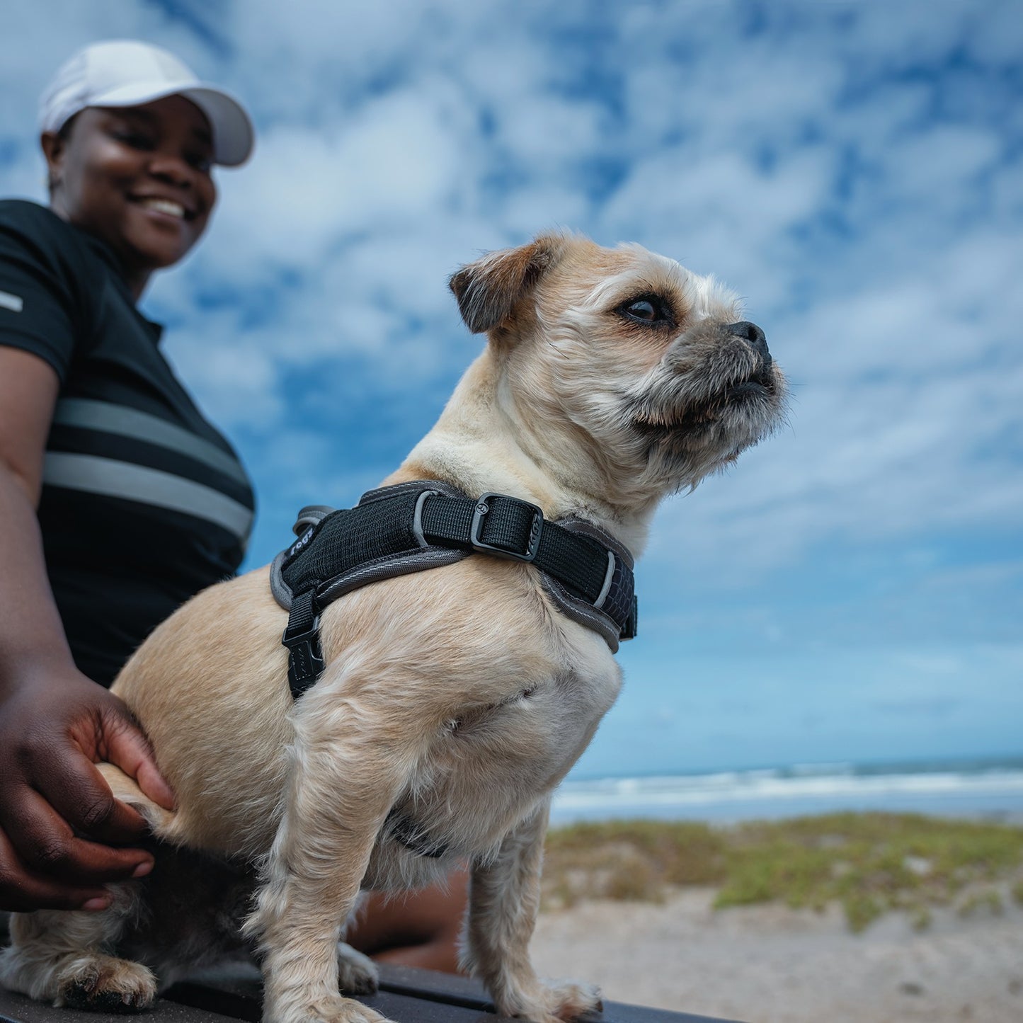Rogz AirTech Sport Dog Harness