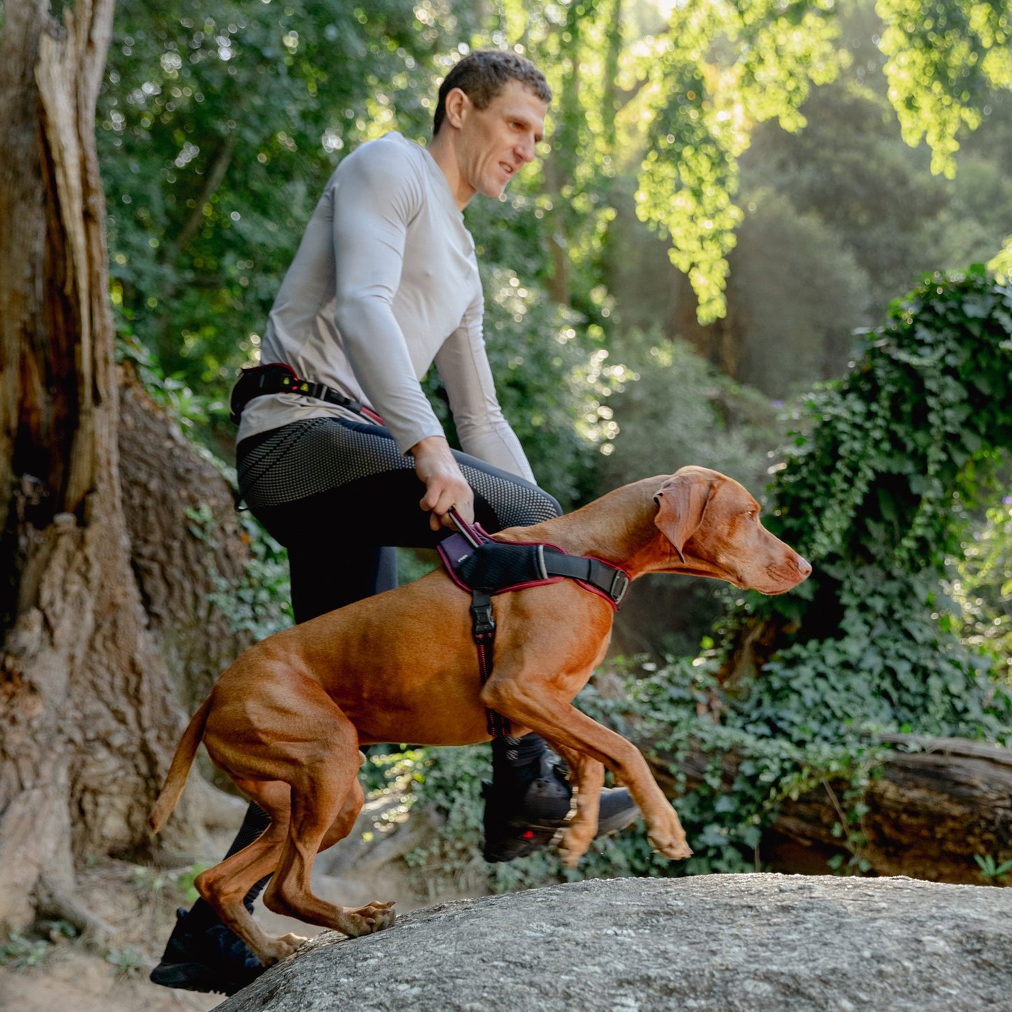 Rogz AirTech Sport Dog Harness