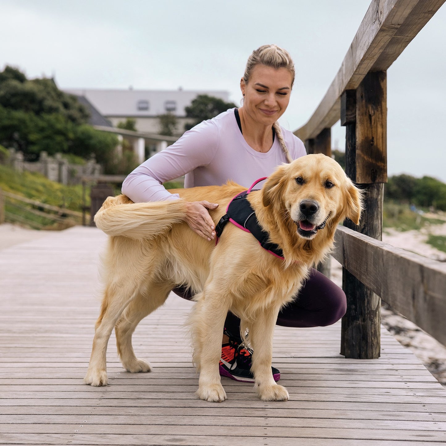 Rogz AirTech Sport Dog Harness