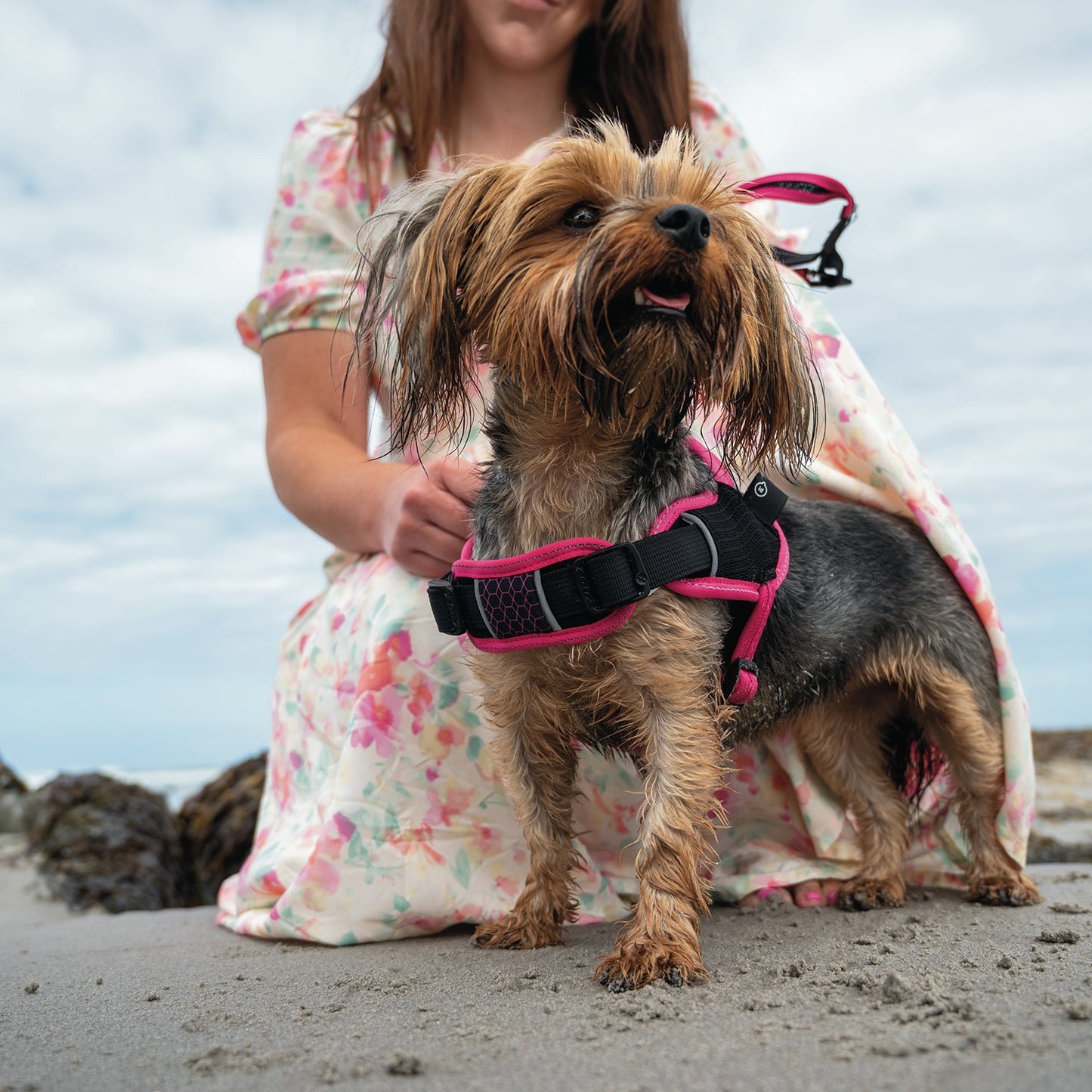Rogz AirTech Sport Dog Harness