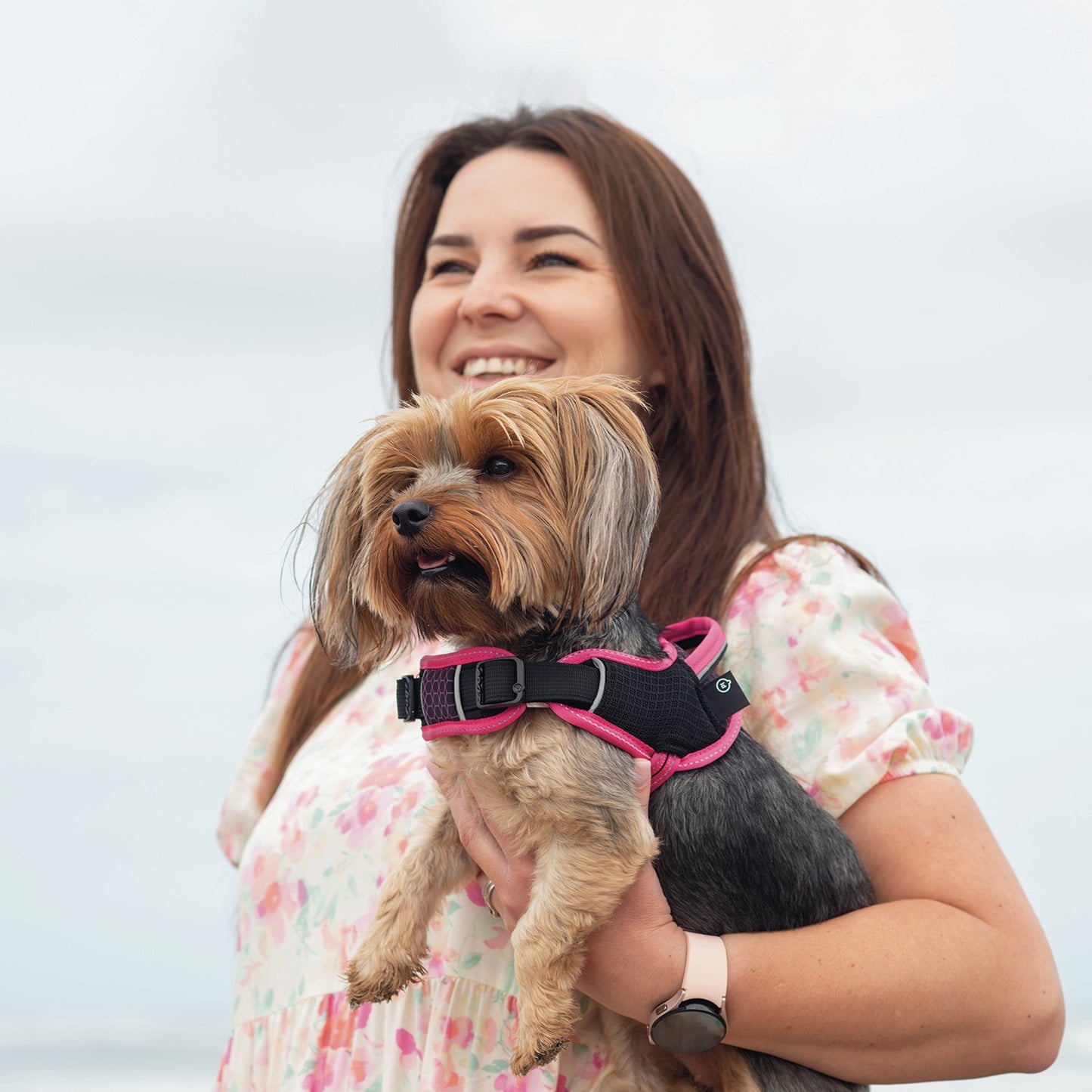 Rogz AirTech Sport Dog Harness
