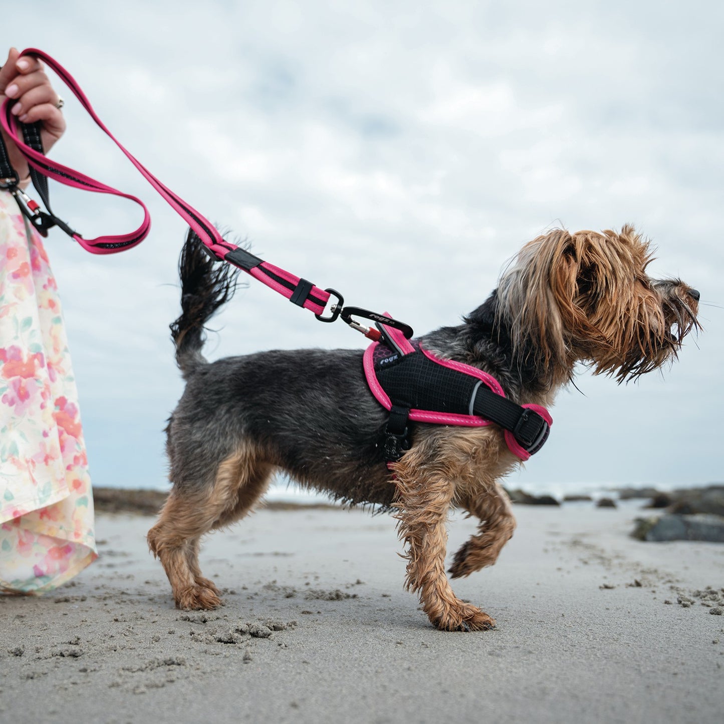 Rogz AirTech Sport Dog Harness