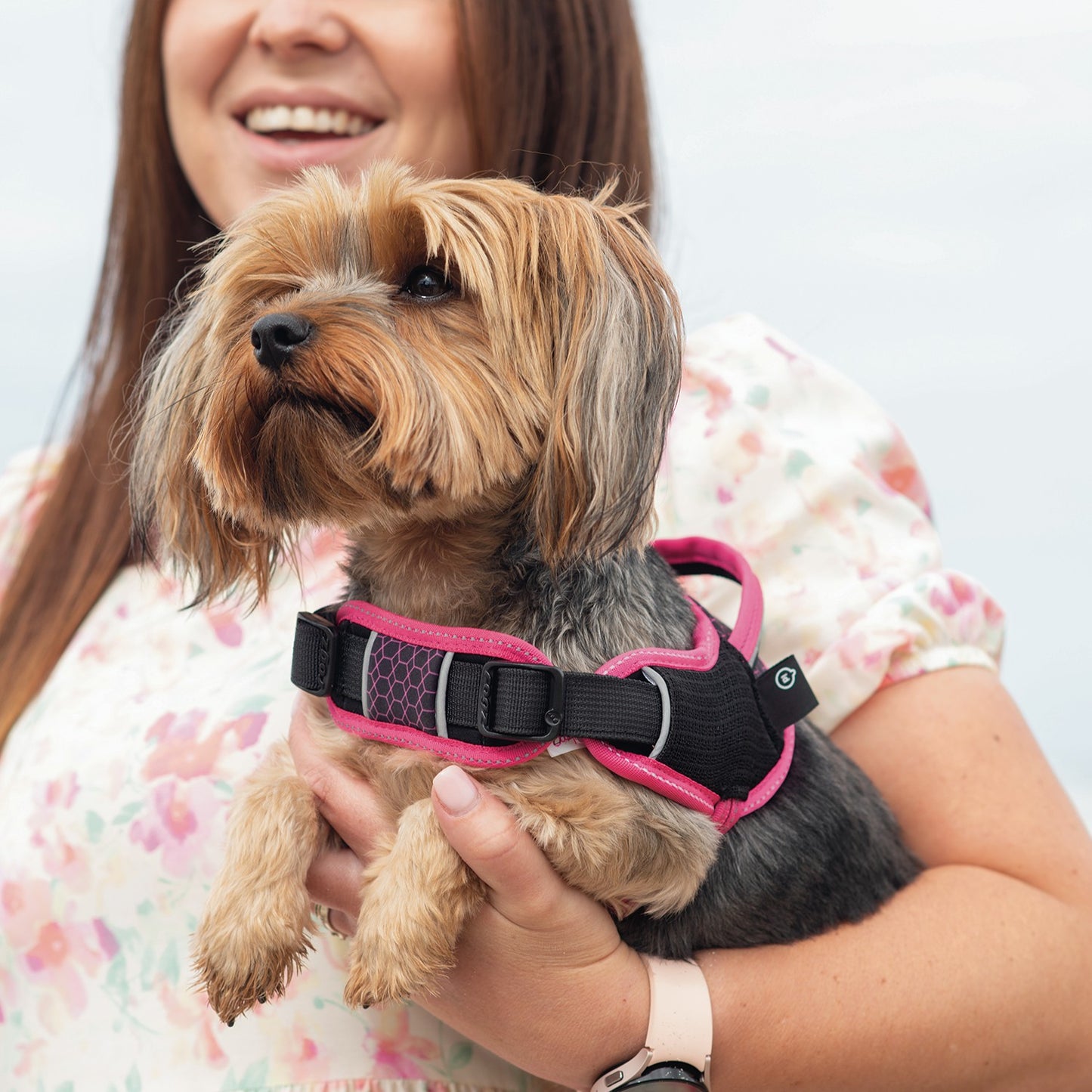 Rogz AirTech Sport Dog Harness