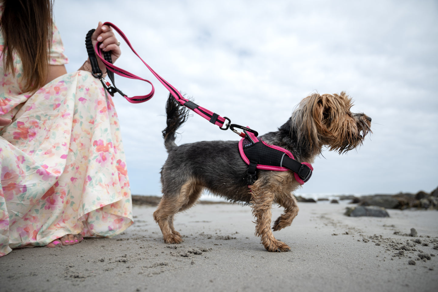 Rogz AirTech Sport Dog Harness