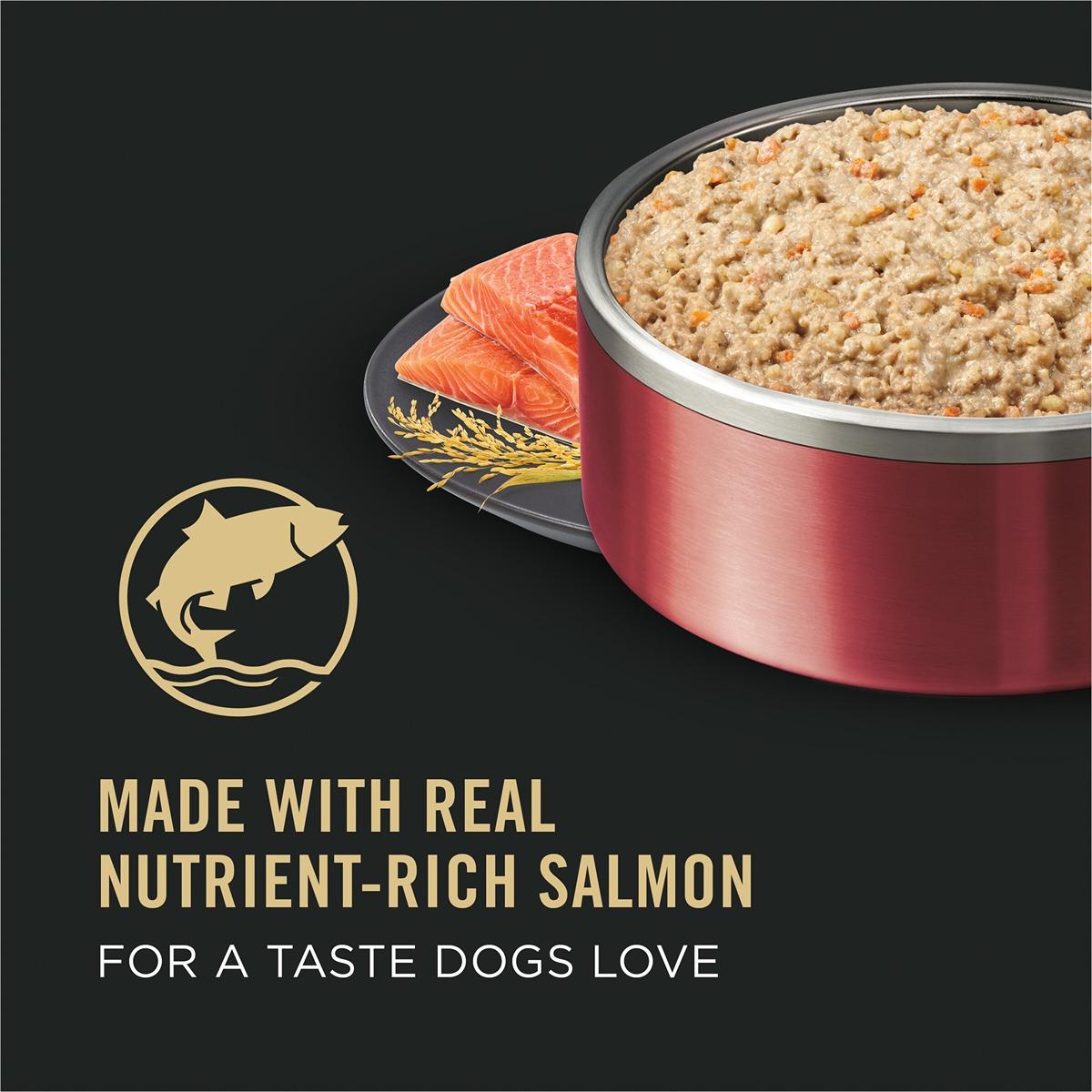 Pro Plan Sensitive Skin & Stomach Salmon Wet Dog Food
