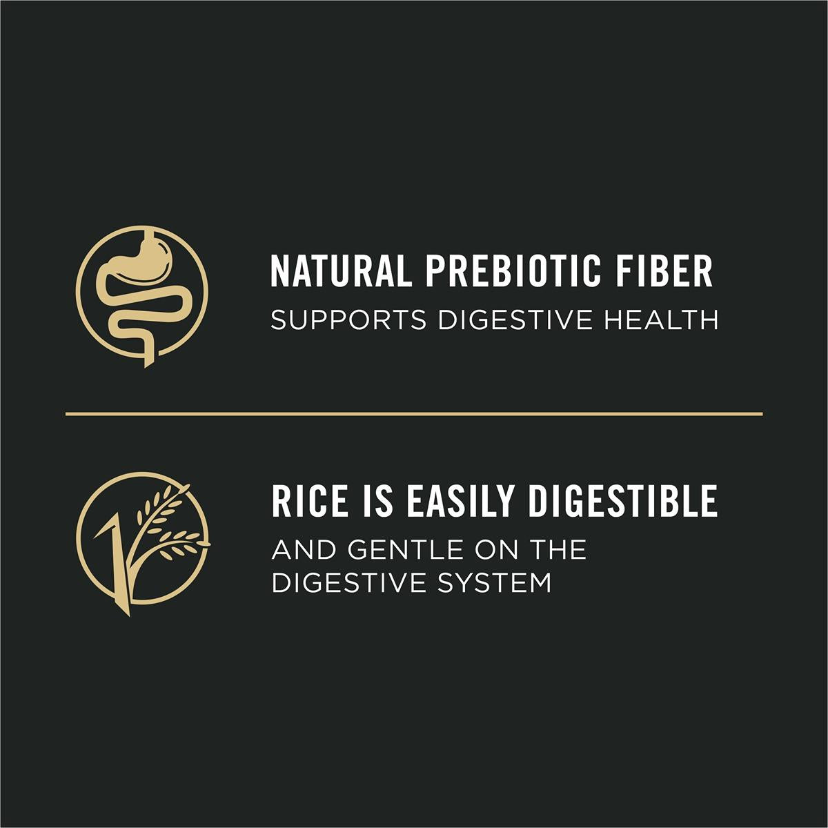 Pro Plan Sensitive Skin & Stomach Salmon Wet Dog Food