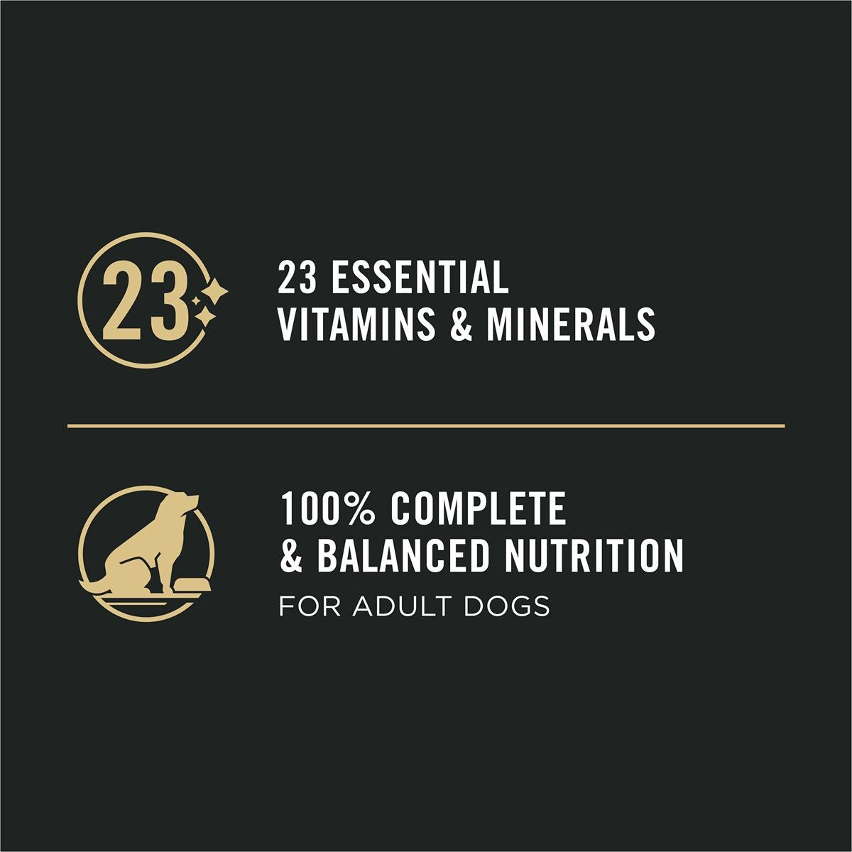 Pro Plan Sensitive Skin & Stomach Salmon Wet Dog Food