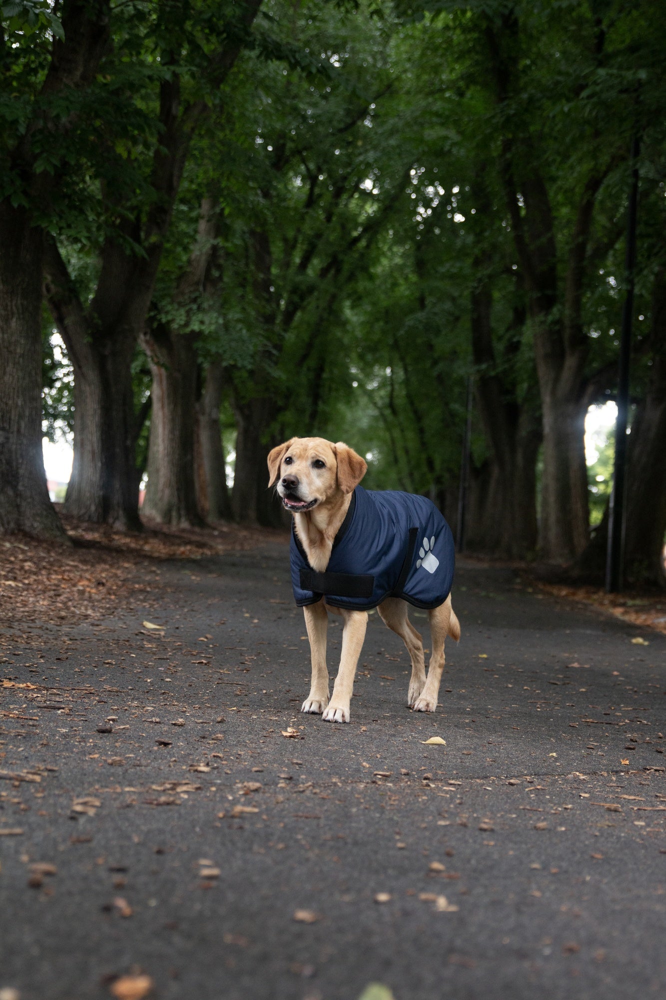 Ruff n Rugged Utility Coat Navy