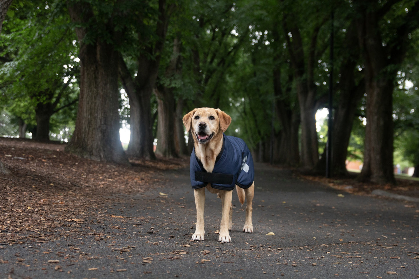 Ruff n Rugged Utility Coat Navy