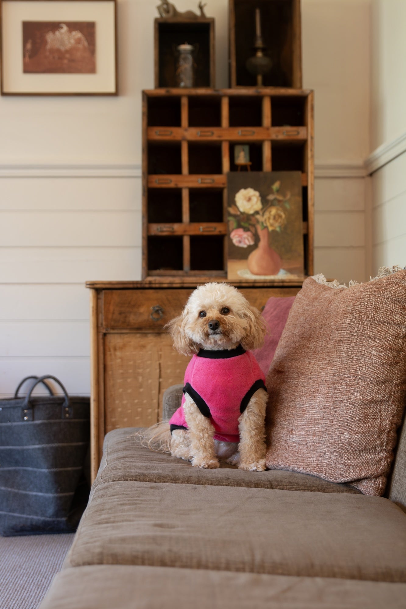 DGG Classic Warmie Dog Jumper Fuchsia