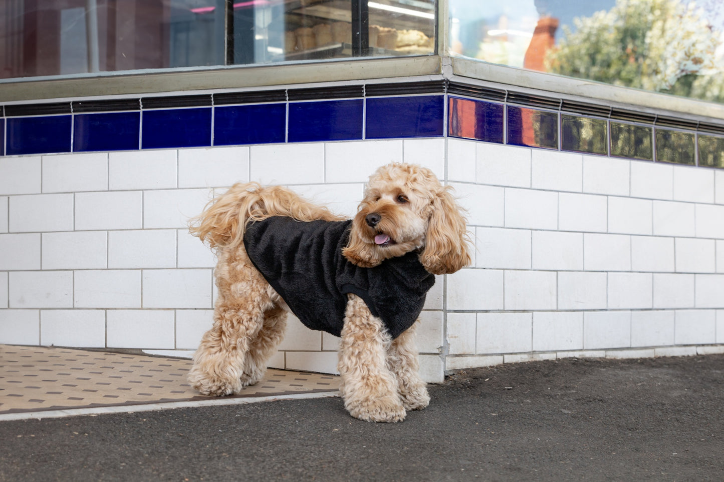 DGG Snuggly Dog Jumper Black