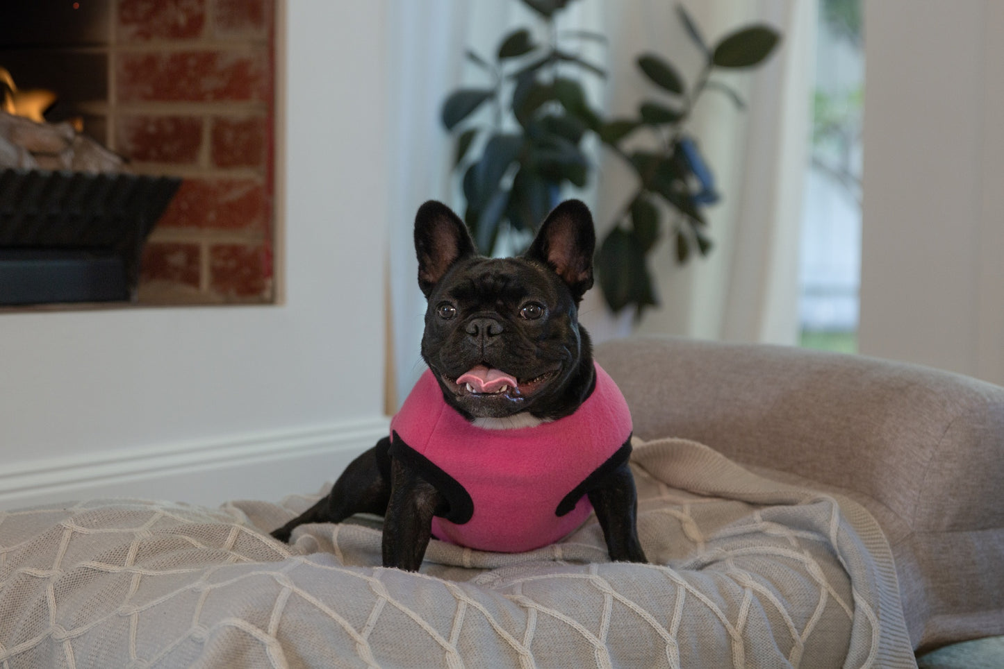 DGG Classic Warmie Dog Jumper Fuchsia