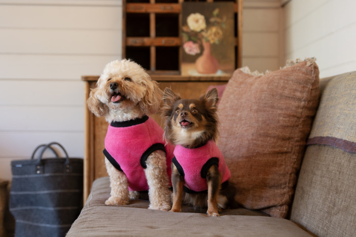 DGG Classic Warmie Dog Jumper Fuchsia