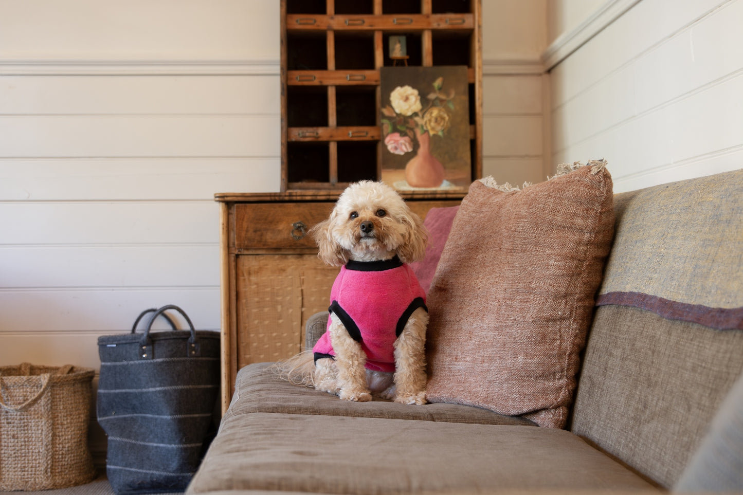 DGG Classic Warmie Dog Jumper Fuchsia