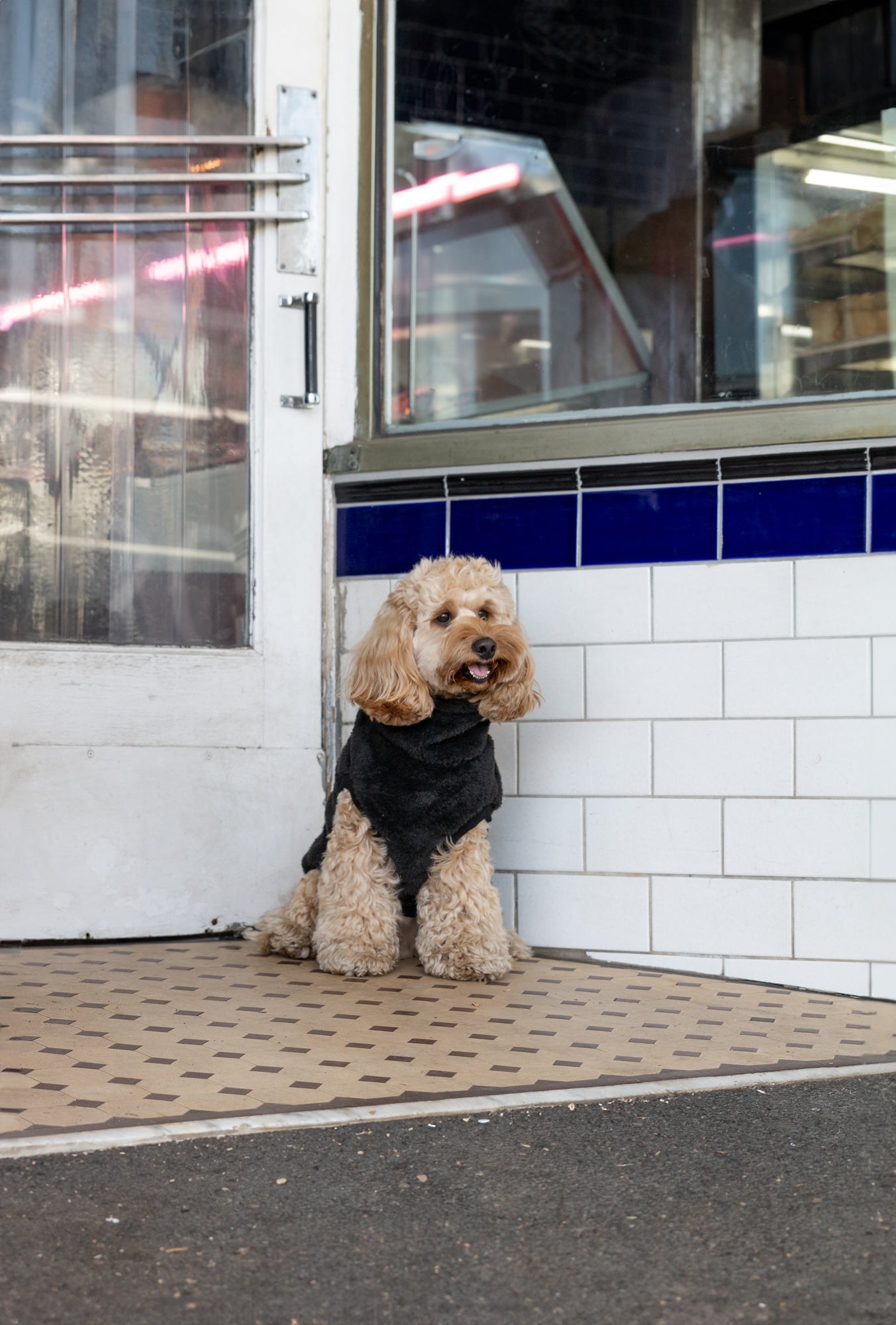 DGG Snuggly Dog Jumper Black