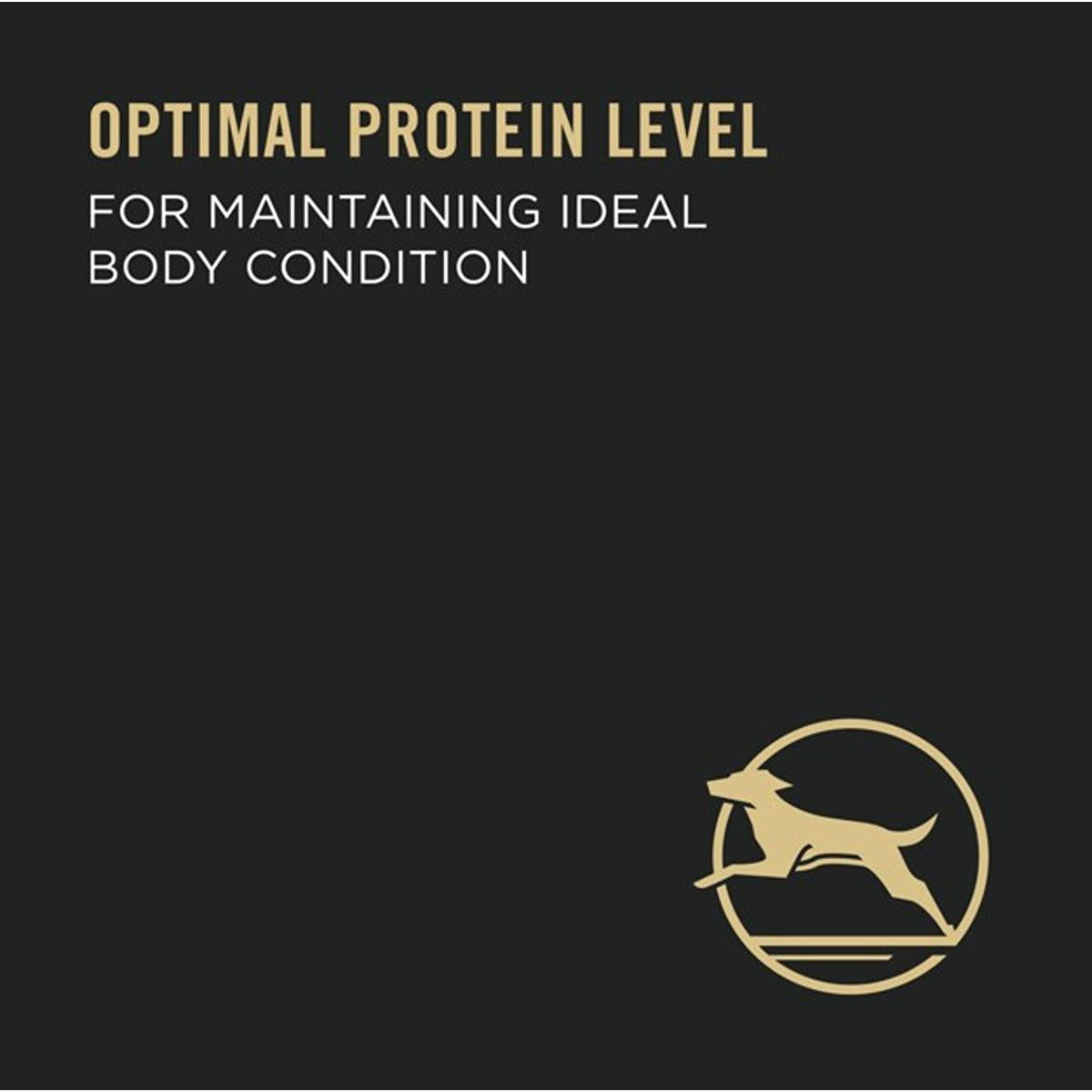 Pro Plan Adult Chicken & Vege with Gravy Wet Dog Food