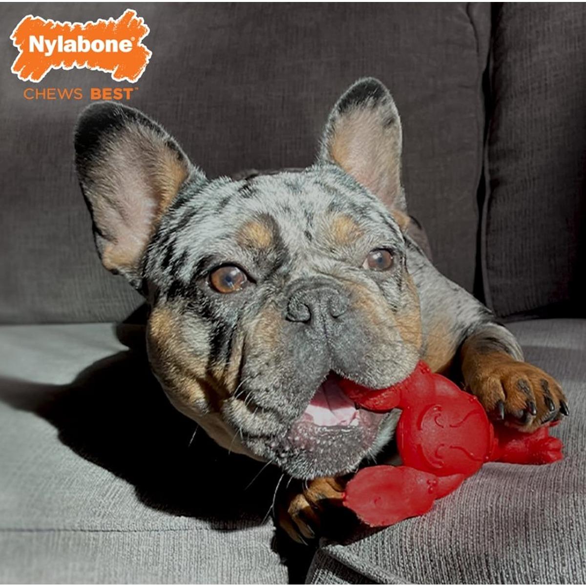 Nylabone Power Chew Lobster Dog Toy