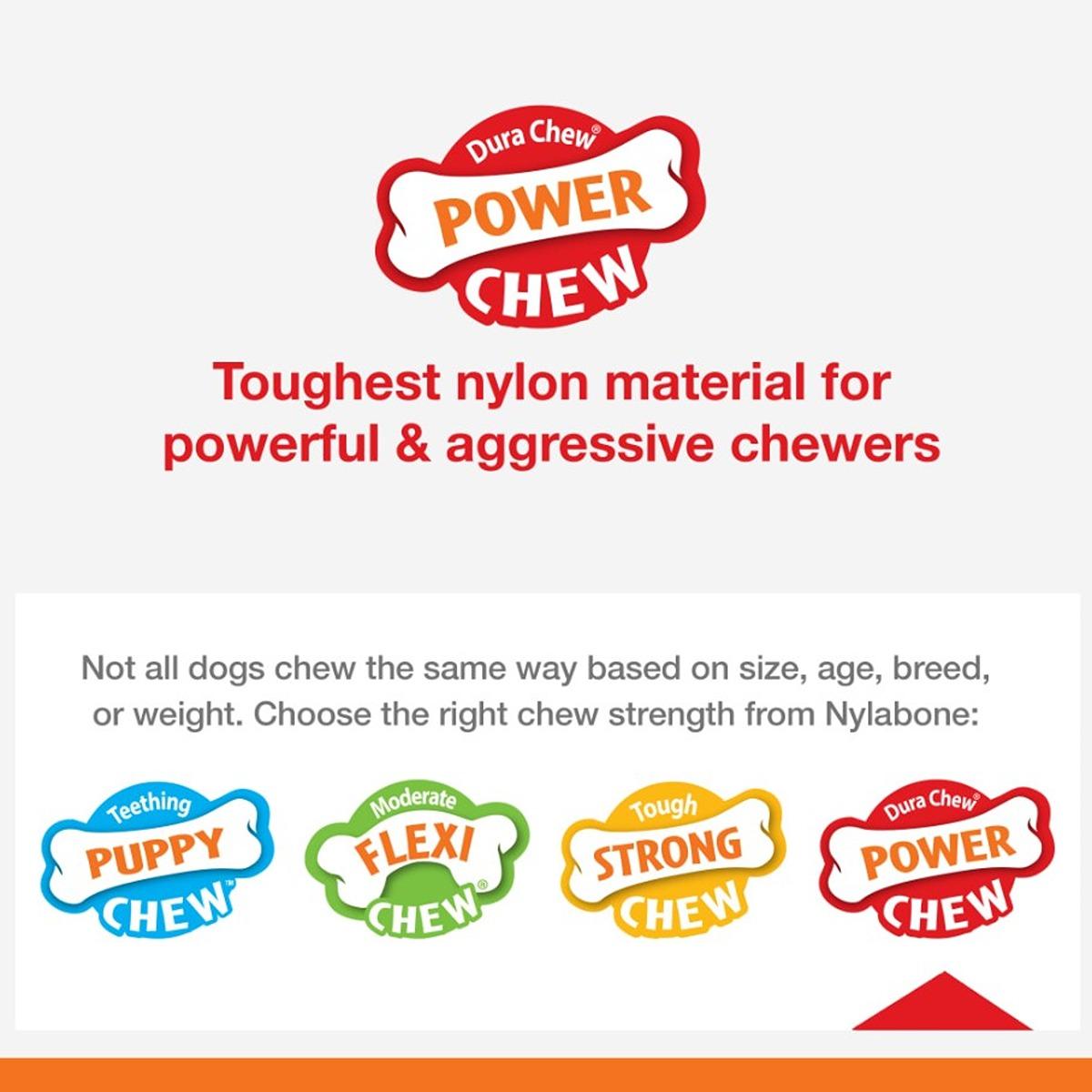 Nylabone Power Chew Broccoli