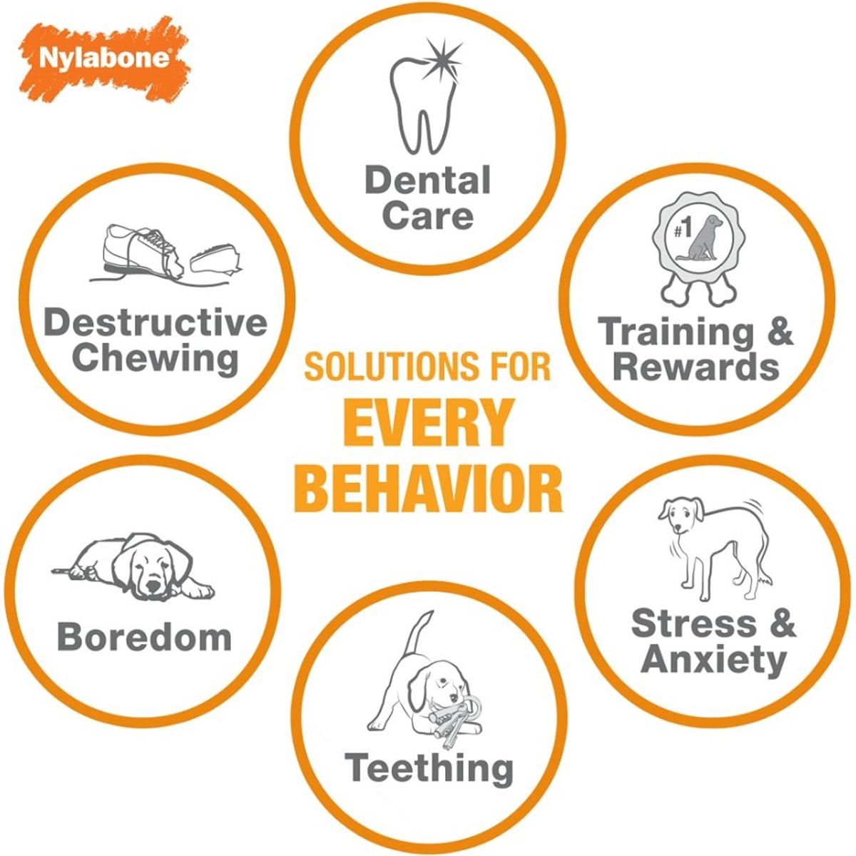 Nylabone Sneaky Snacker Chew & Treat Toy