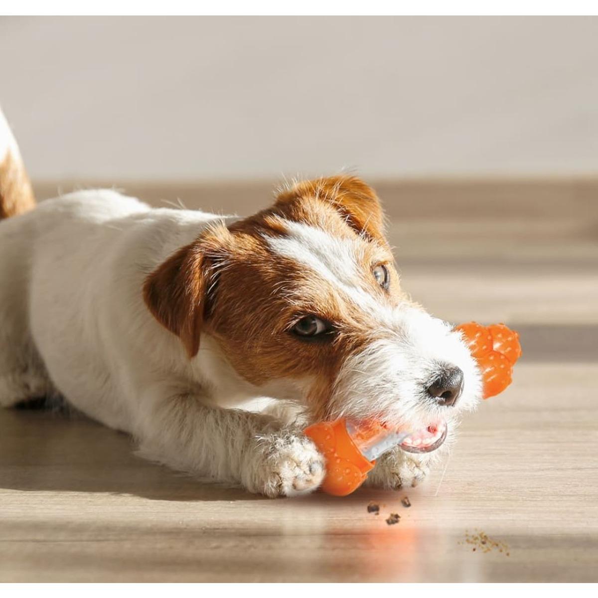 Nylabone Sneaky Snacker Chew & Treat Toy