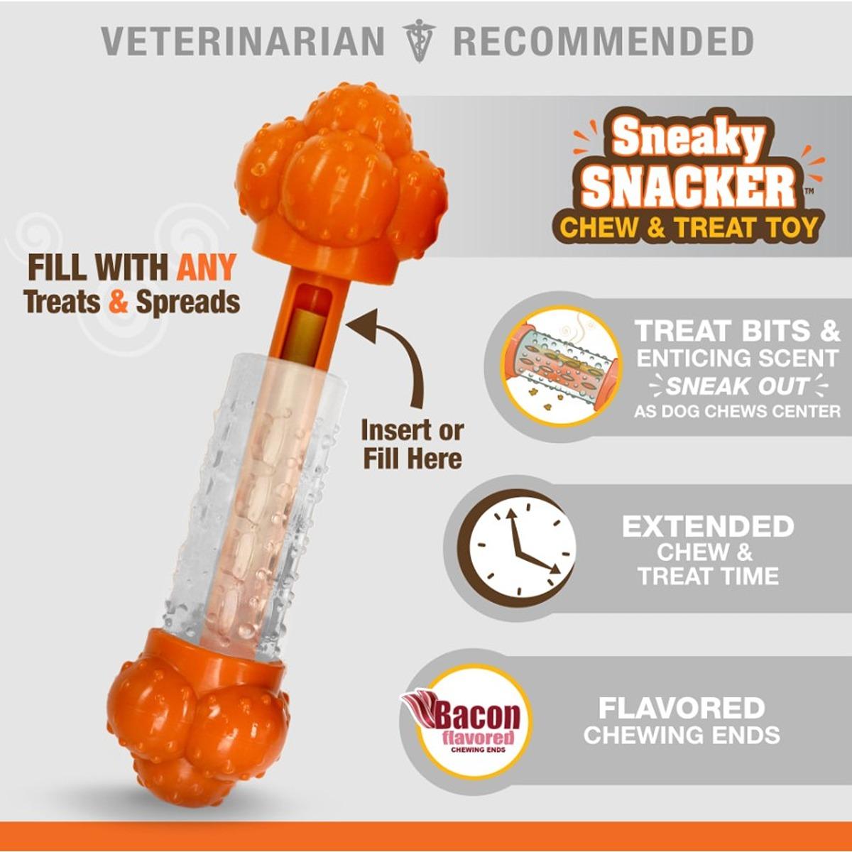 Nylabone Sneaky Snacker Chew & Treat Toy