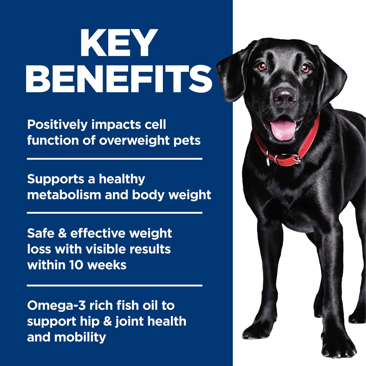 Hills Science Diet Perfect Weight + Joint Support Large Breed Dry Dog Food