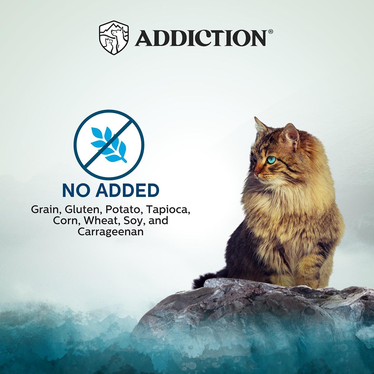 Addiction Wild Islands Pacific Catch Ocean Fish & Salmon Wet Cat Food