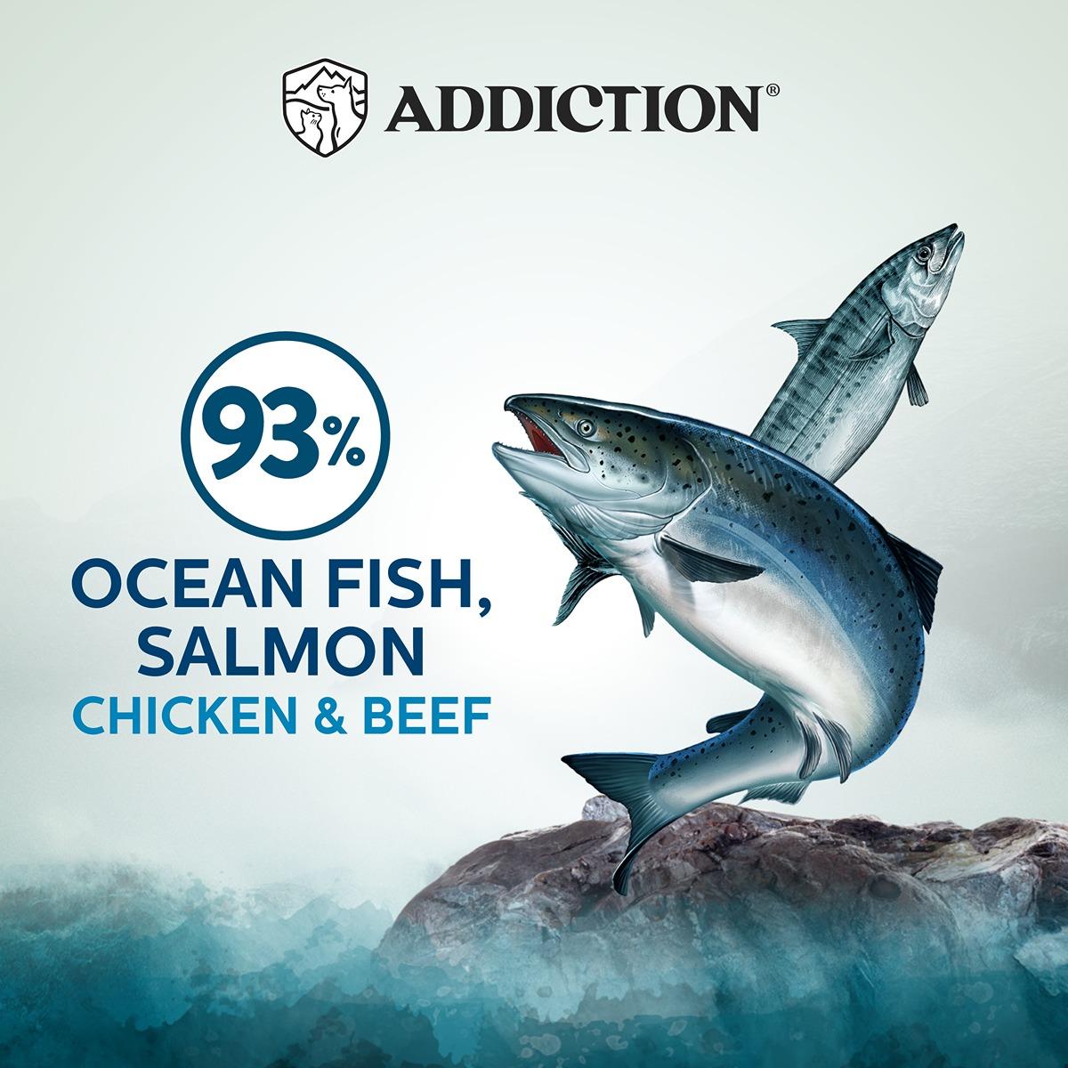 Addiction Wild Islands Pacific Catch Ocean Fish & Salmon Wet Cat Food