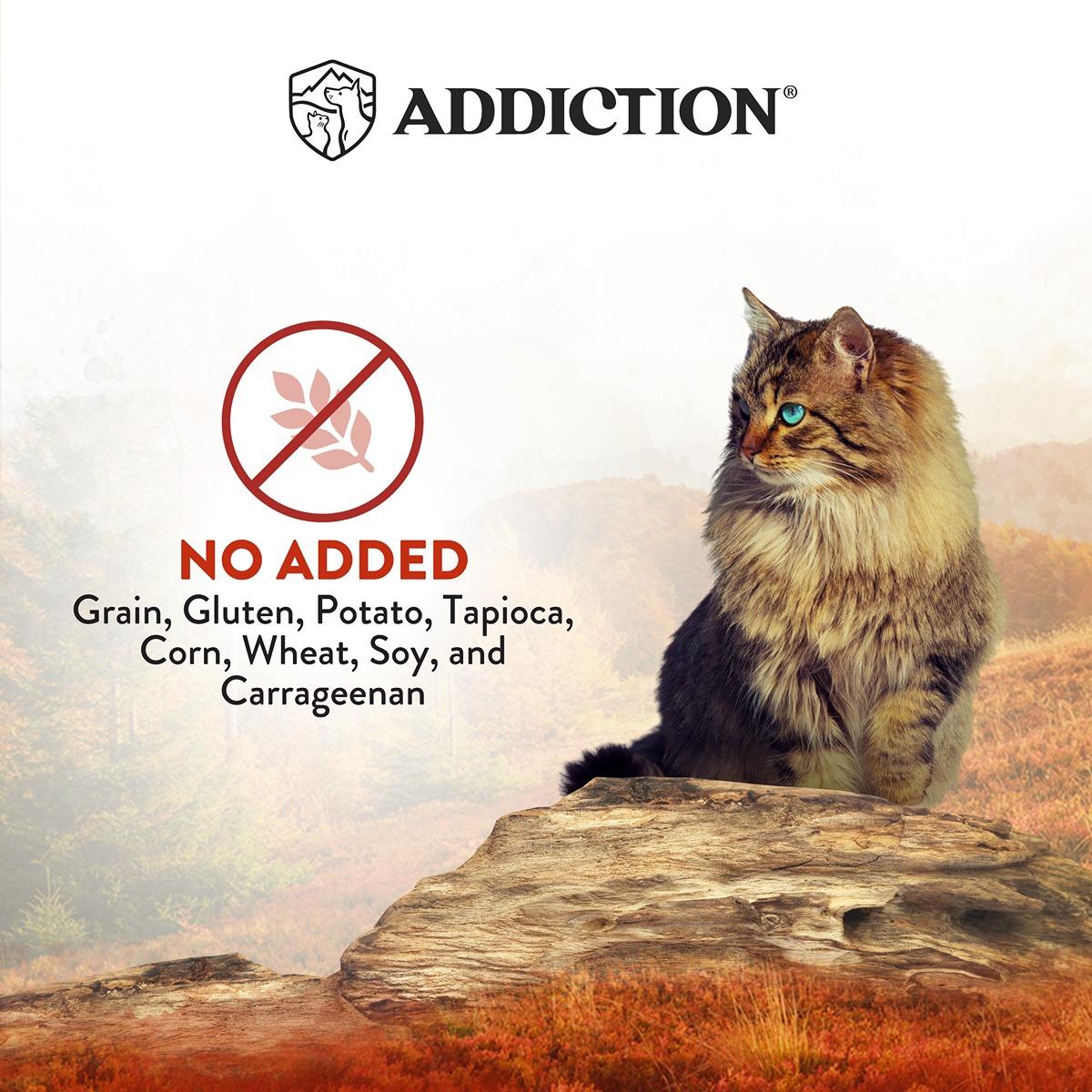 Addiction Wild Islands Forest Meat Venison & Beef Wet Cat Food