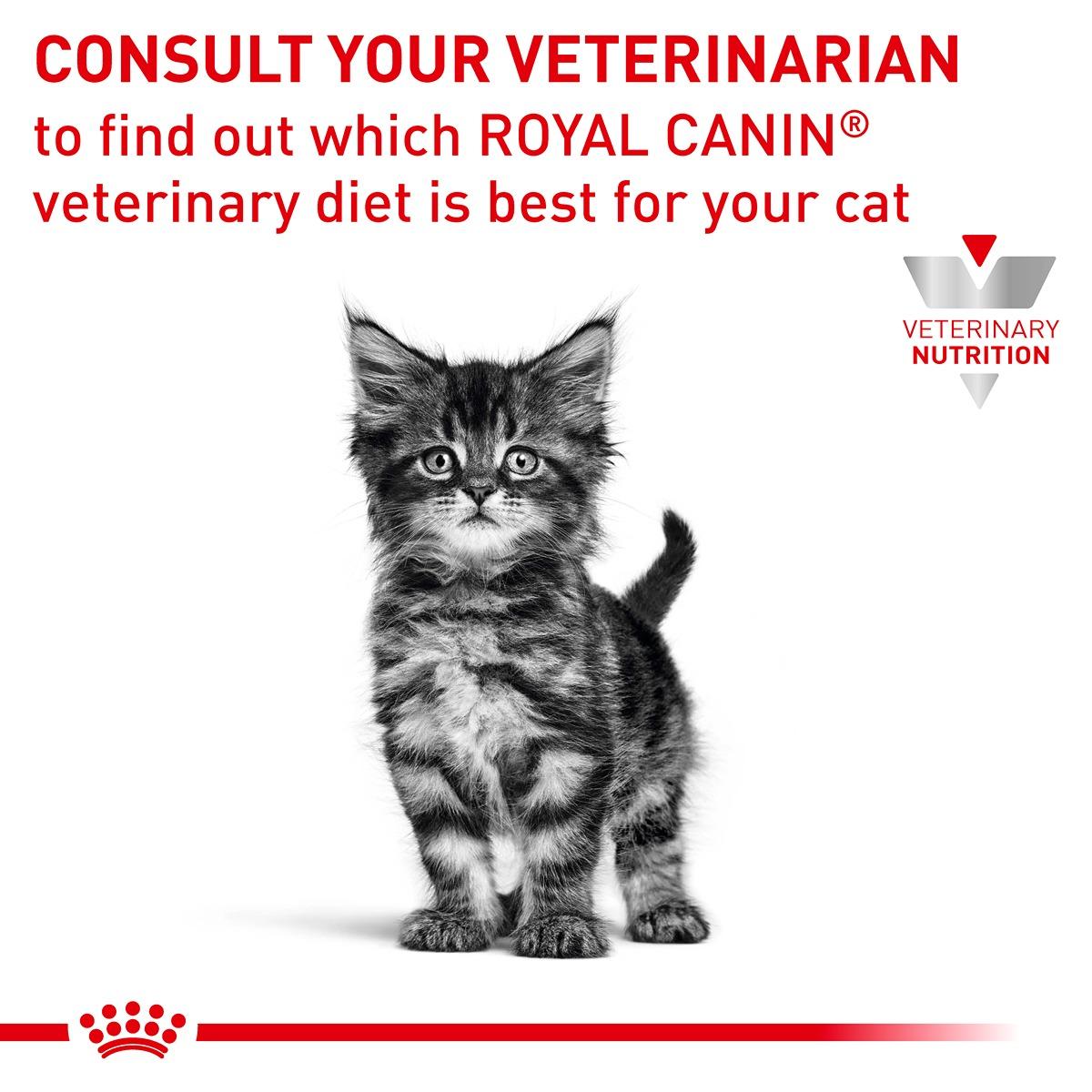 Royal Canin Vet Gastrointestinal Wet Kitten Food