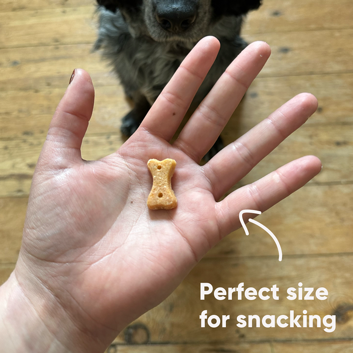 Beco Cashew Dog Treats