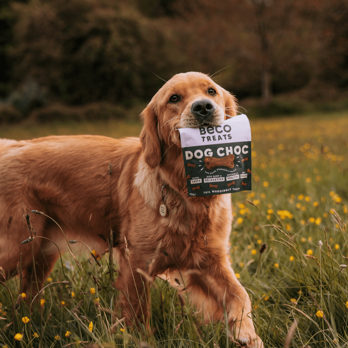 Beco Dog Choc Dog Treats