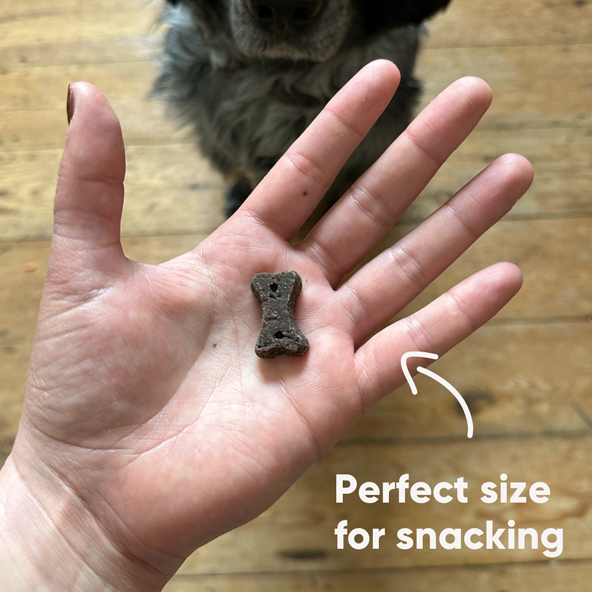 Beco Dog Choc Dog Treats