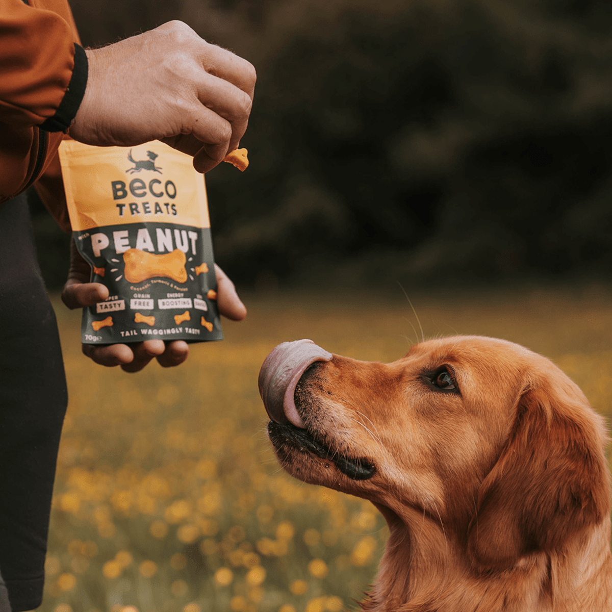 Beco Peanut Dog Treats