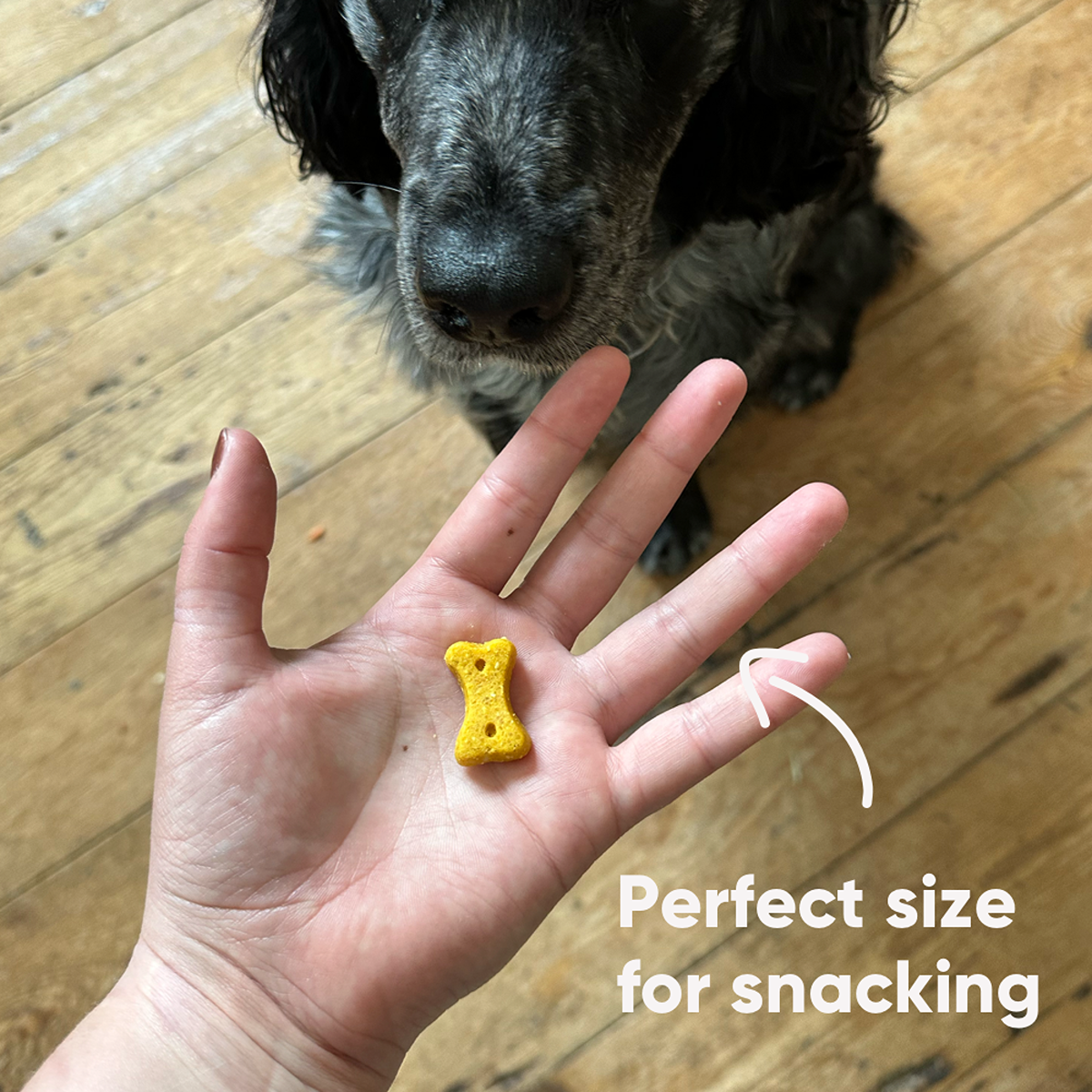 Beco Peanut Dog Treats