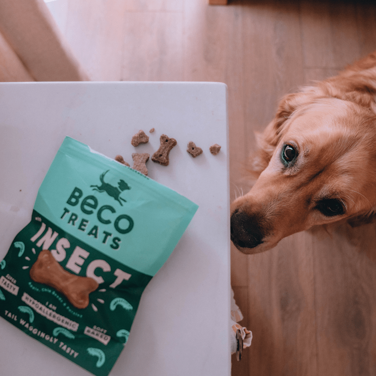 Beco Insect Dog Treats