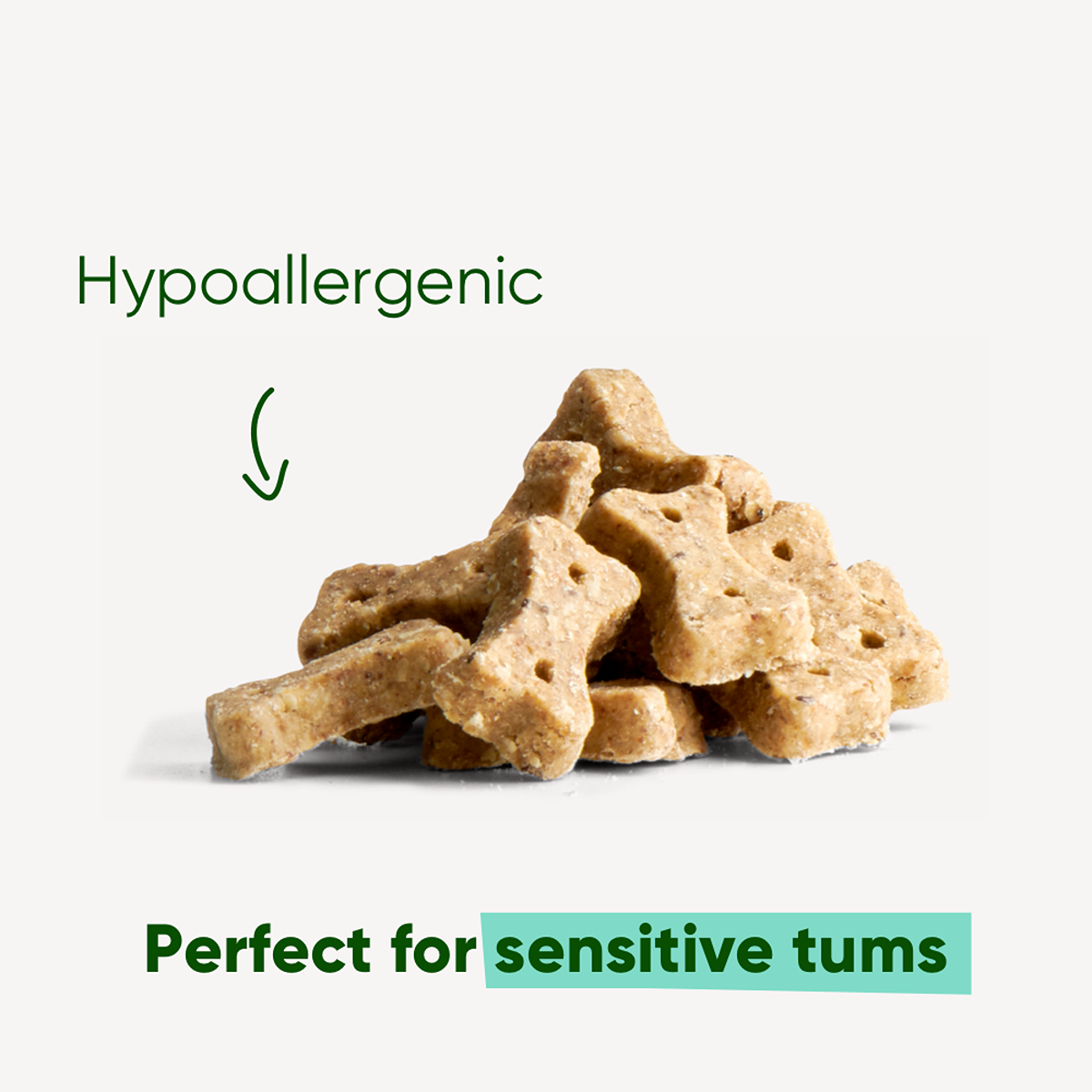 Beco Insect Dog Treats