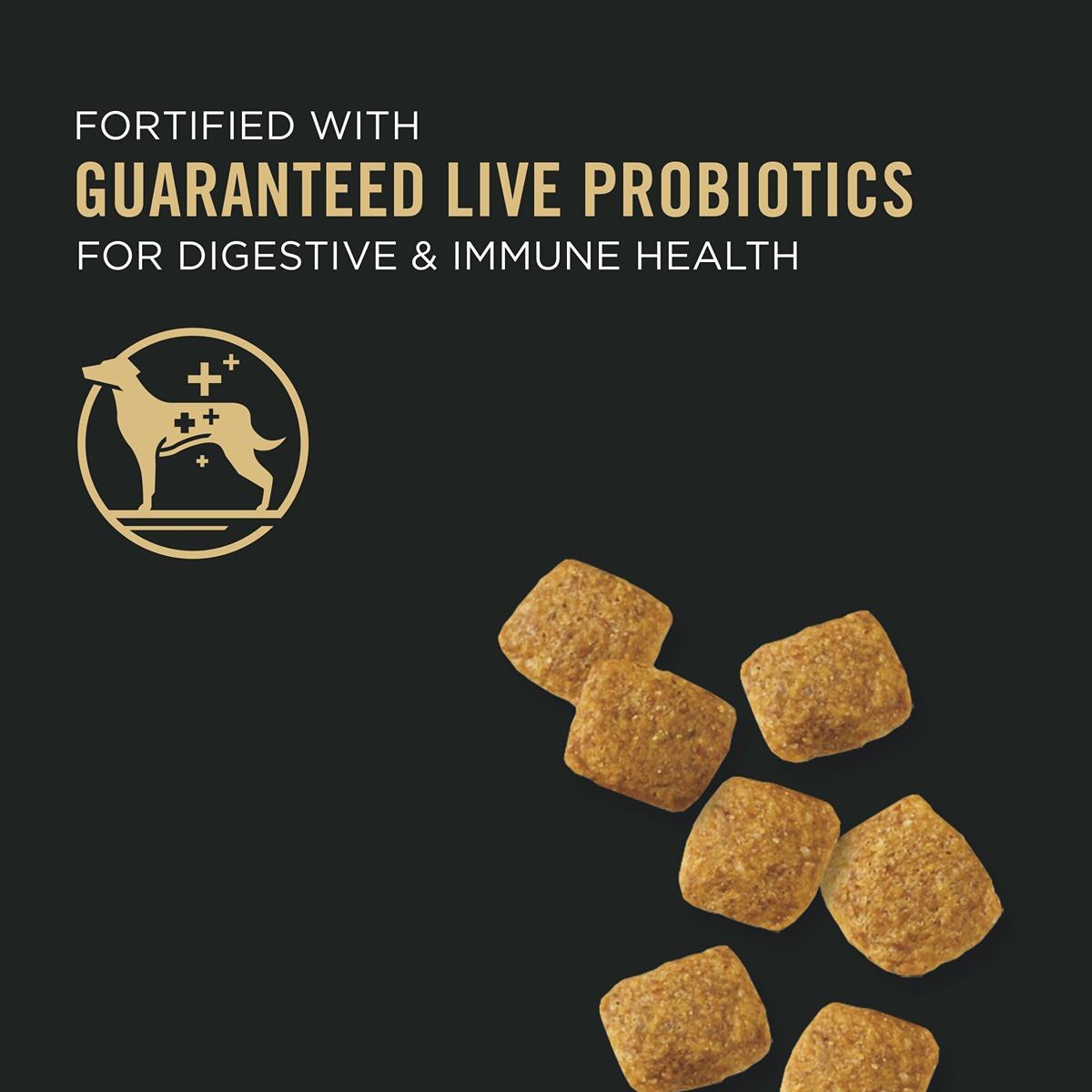 Pro Plan Adult Weight Management Dry Dog Food