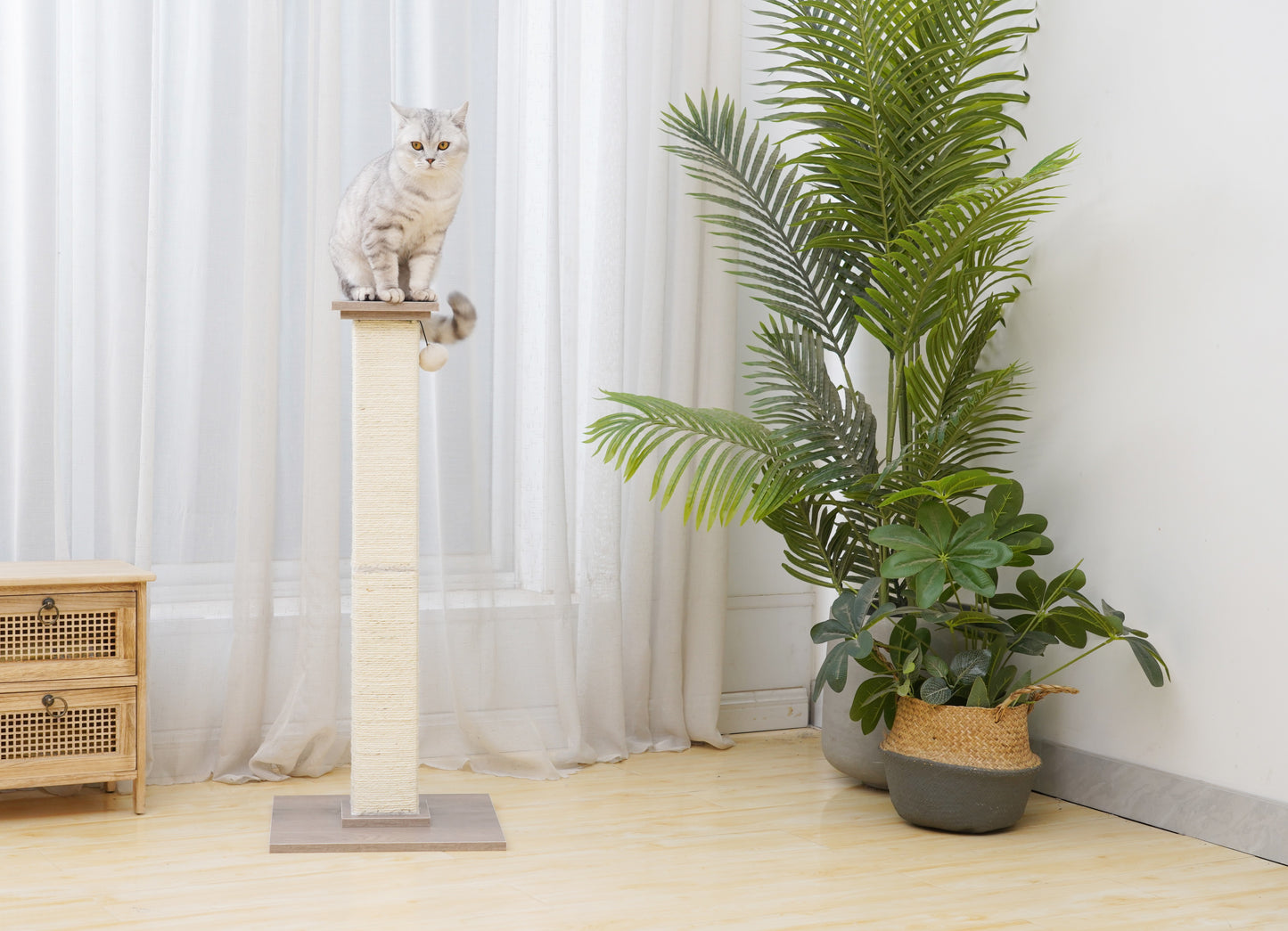 PetPals Sissal Cat Scratcher Post