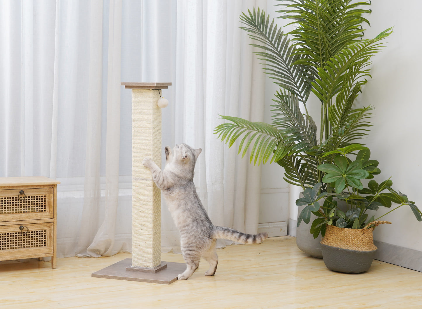 PetPals Sissal Cat Scratcher Post