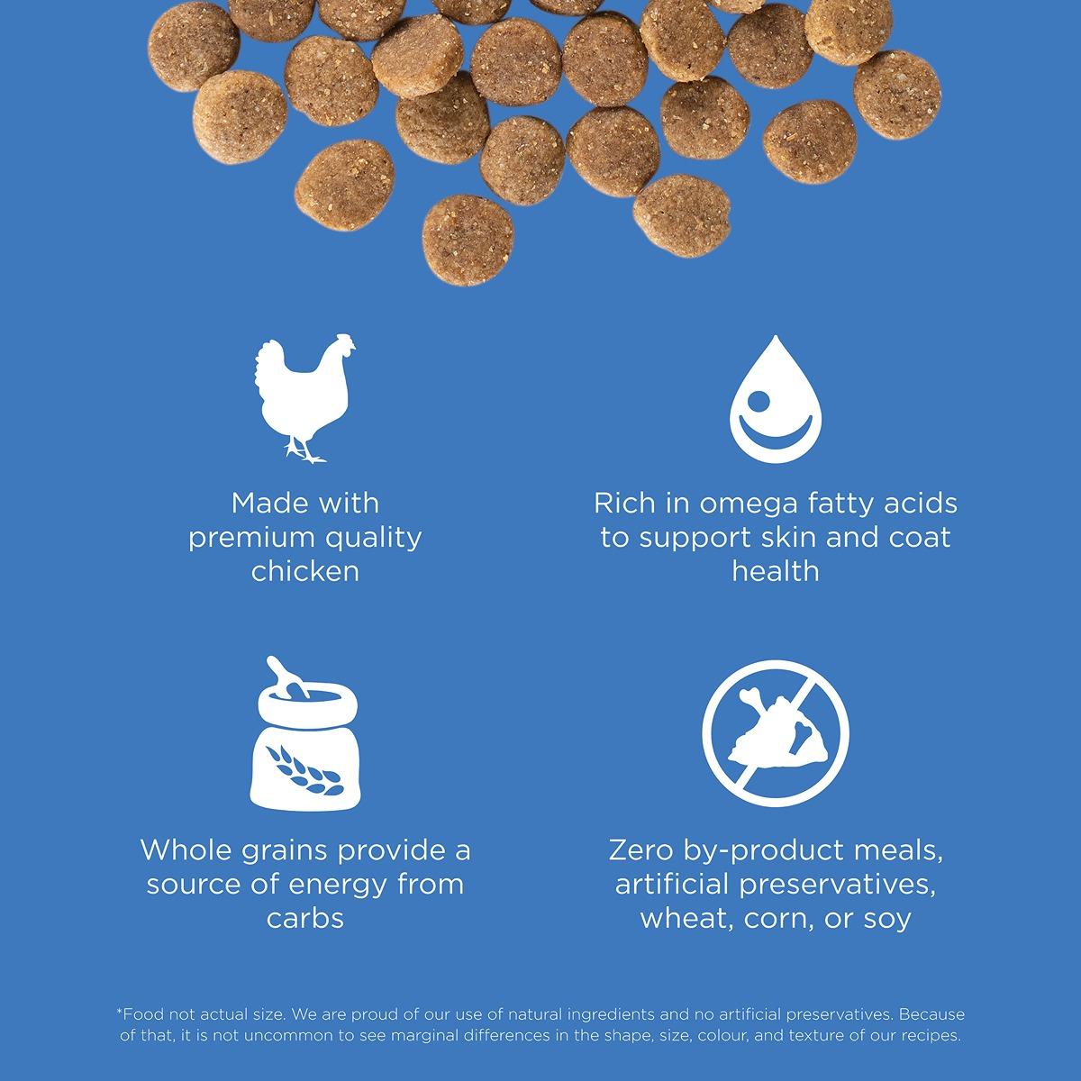 Go! Solutions SKIN + COAT Care Chicken Dry Dog Food