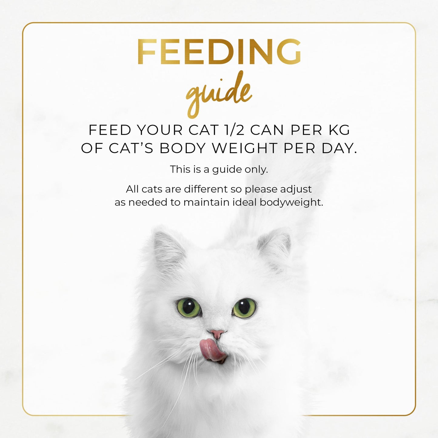 Fancy Feast Classic Pate Beef & Chicken Wet Cat Food