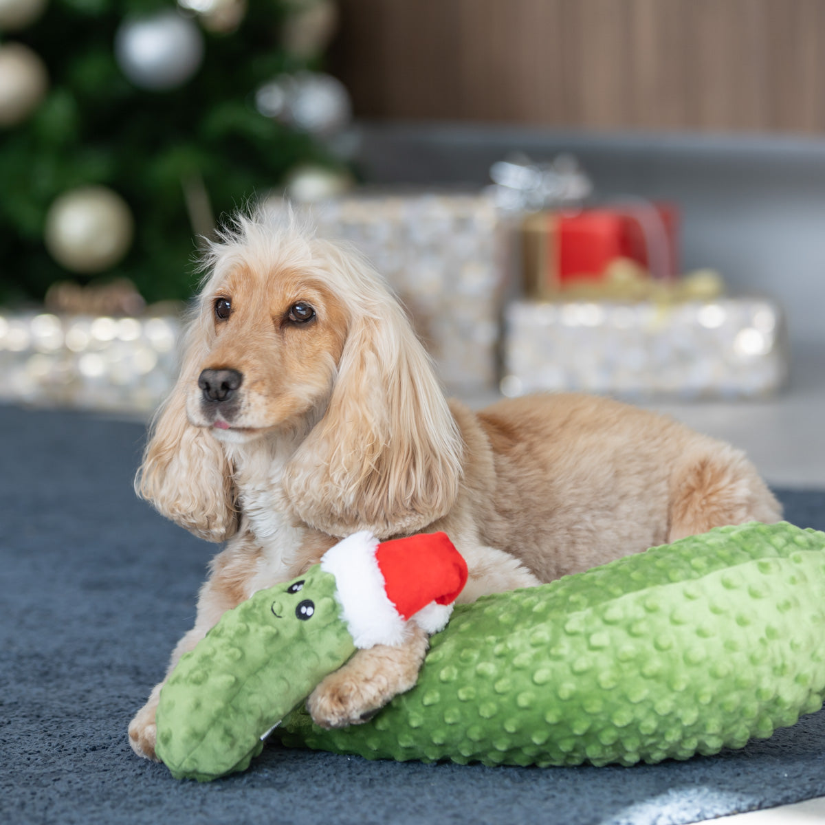 Petstock Christmas Pickle Santa Plush Toy