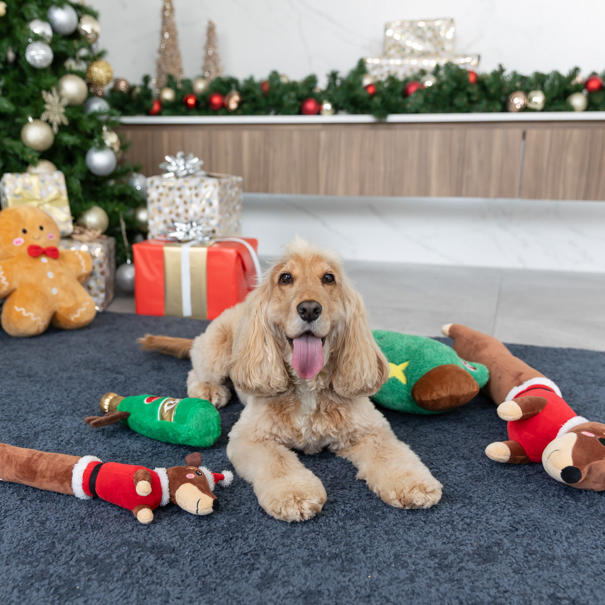Petstock Christmas Long Sausage Dog Plush Dog Toy