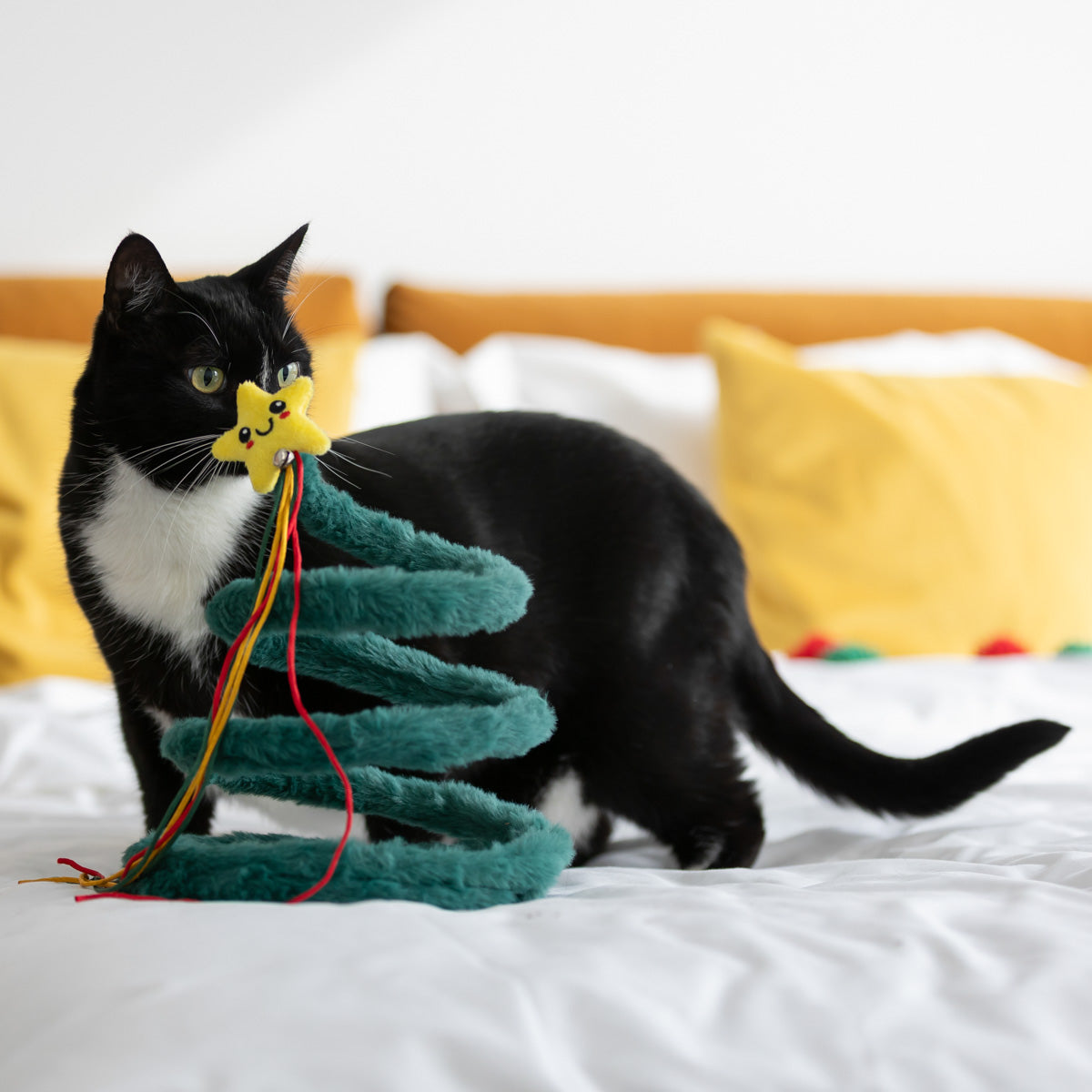 Petstock Christmas Tree Spring Cat Toy