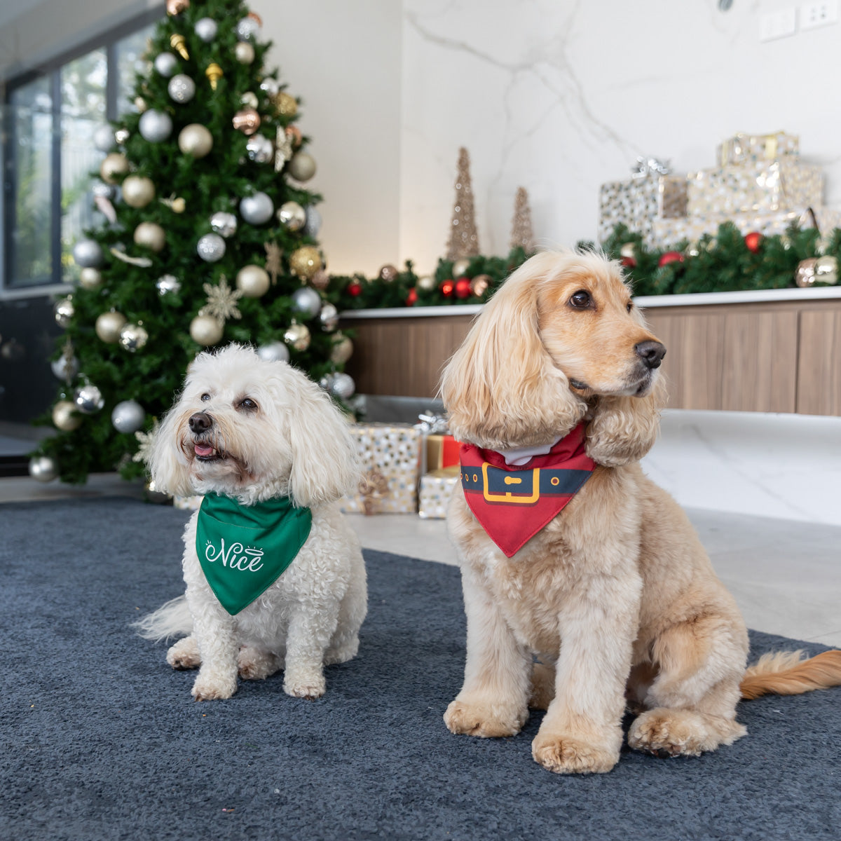 Petstock Foundation Naughty or Nice Reversible Bandana
